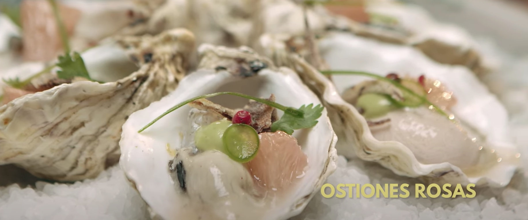 $!Andrea Lizárraga: La niña que amaba la cocina