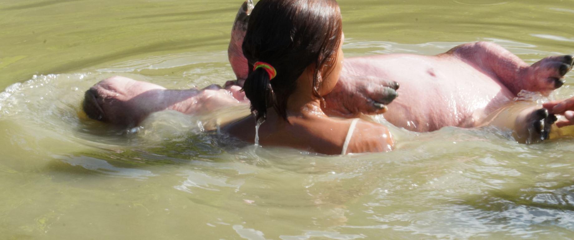$!La cría se pierde en la profundidad del agua y luego vuelve a salir. Humana y animal se persiguen y se abrazan.