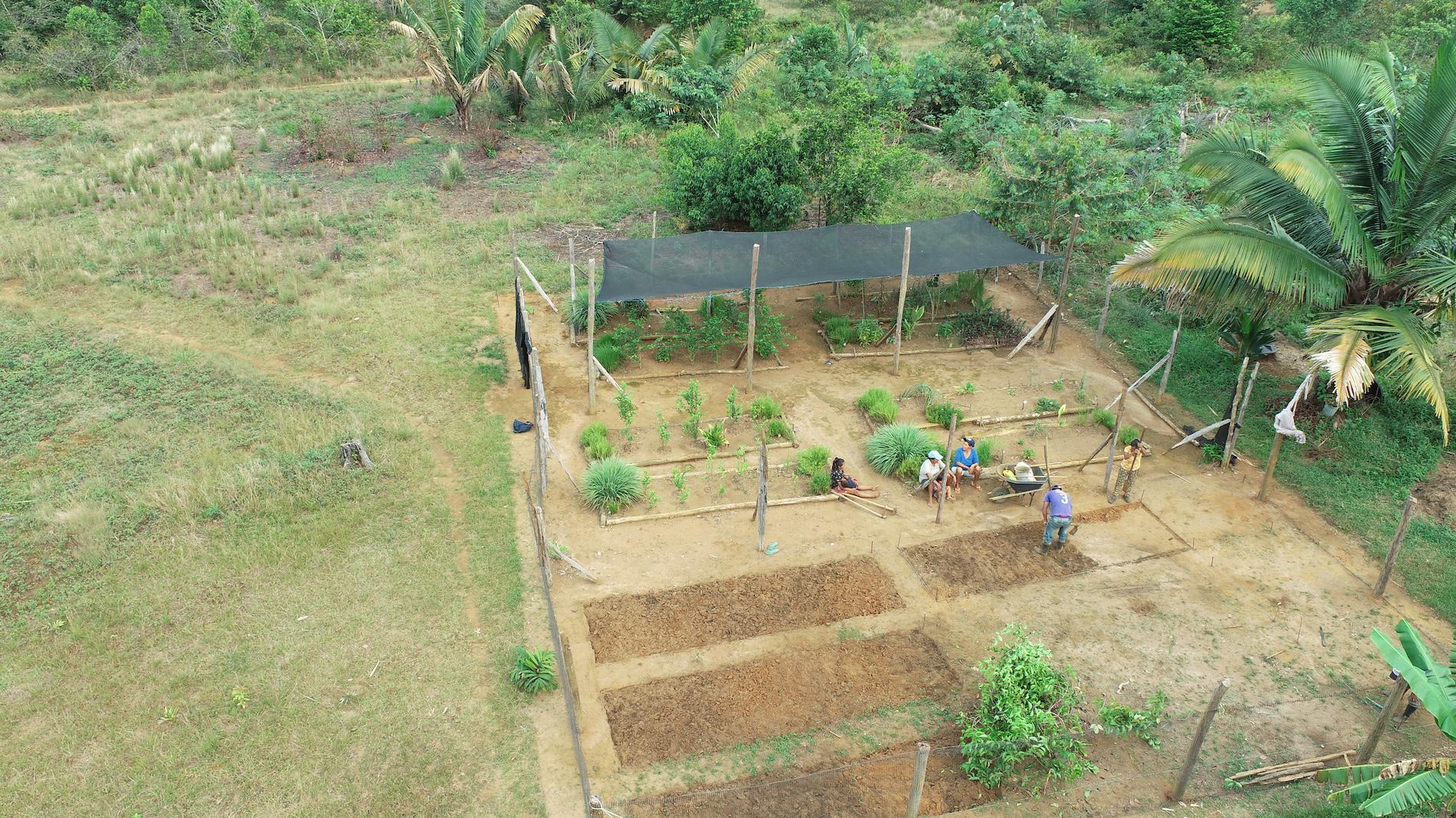 $!El jardín O’KO PAK’O nació hace cuatro años para poner las plantas medicinales al alcance de la comunidad.