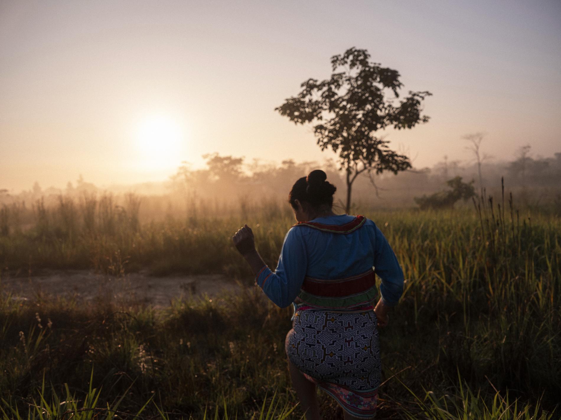 $!Los bosques en Perú cubren más del 60 % del territorio nacional, siendo el segundo país con mayor extensión de bosques amazónicos.