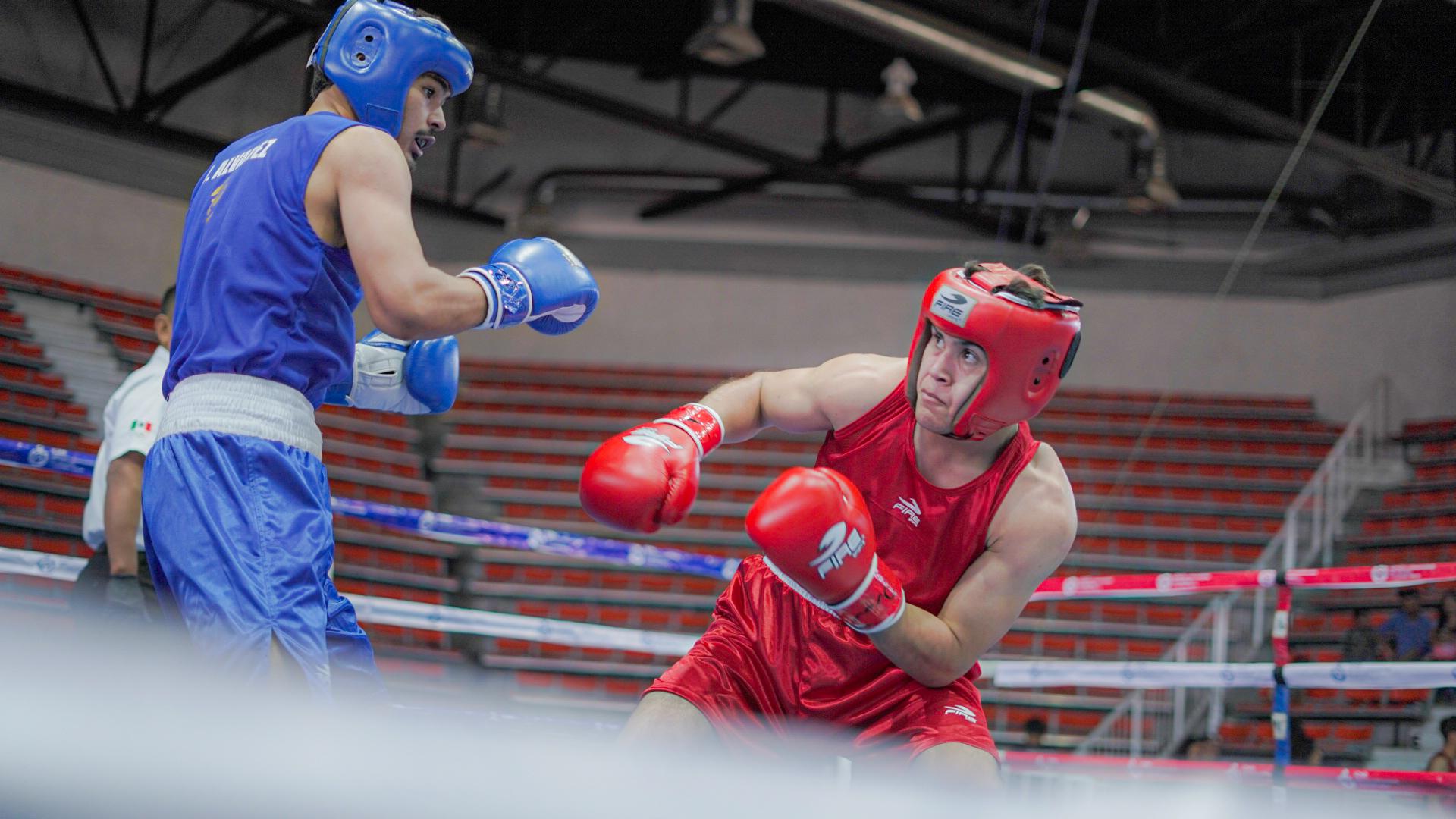 $!Sinaloa brilla en el regional de boxeo: tres campeones y nueve clasificados