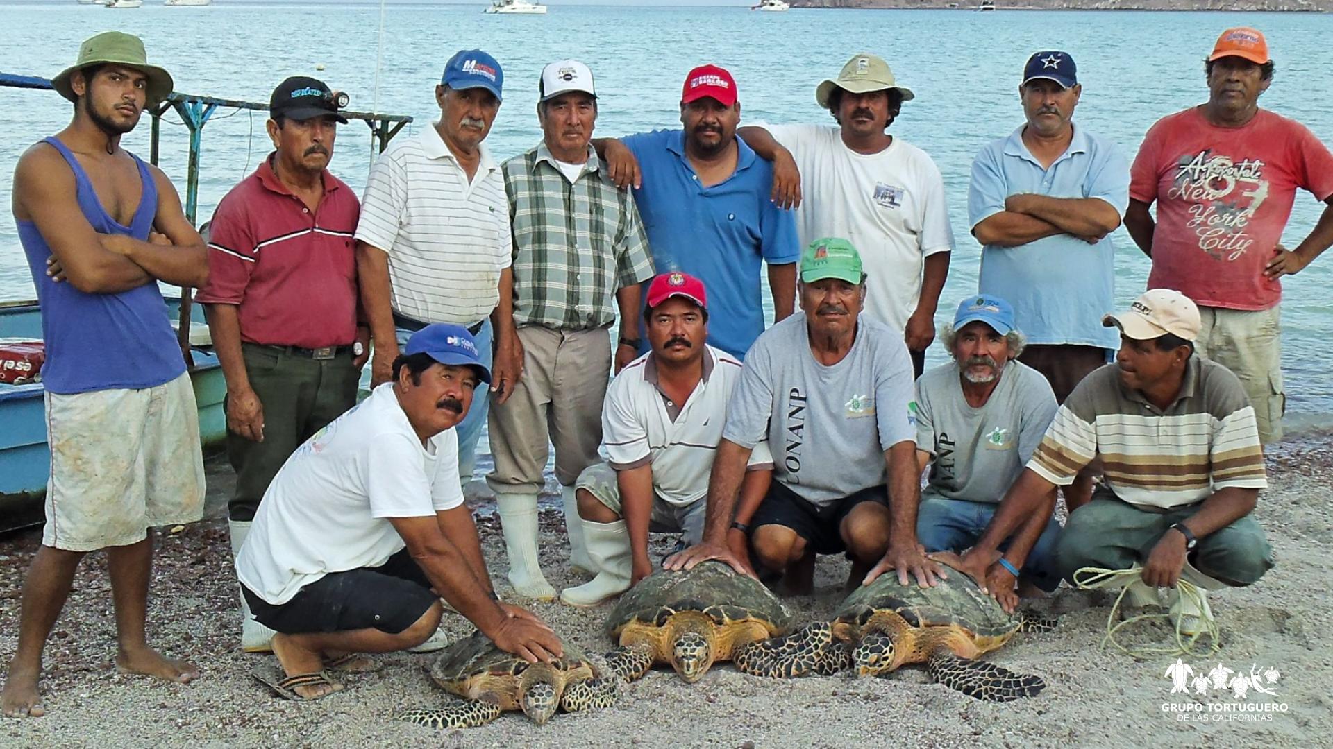$!Conoce la tres iniciativas para mitigar la captura incidental de la tortuga marina