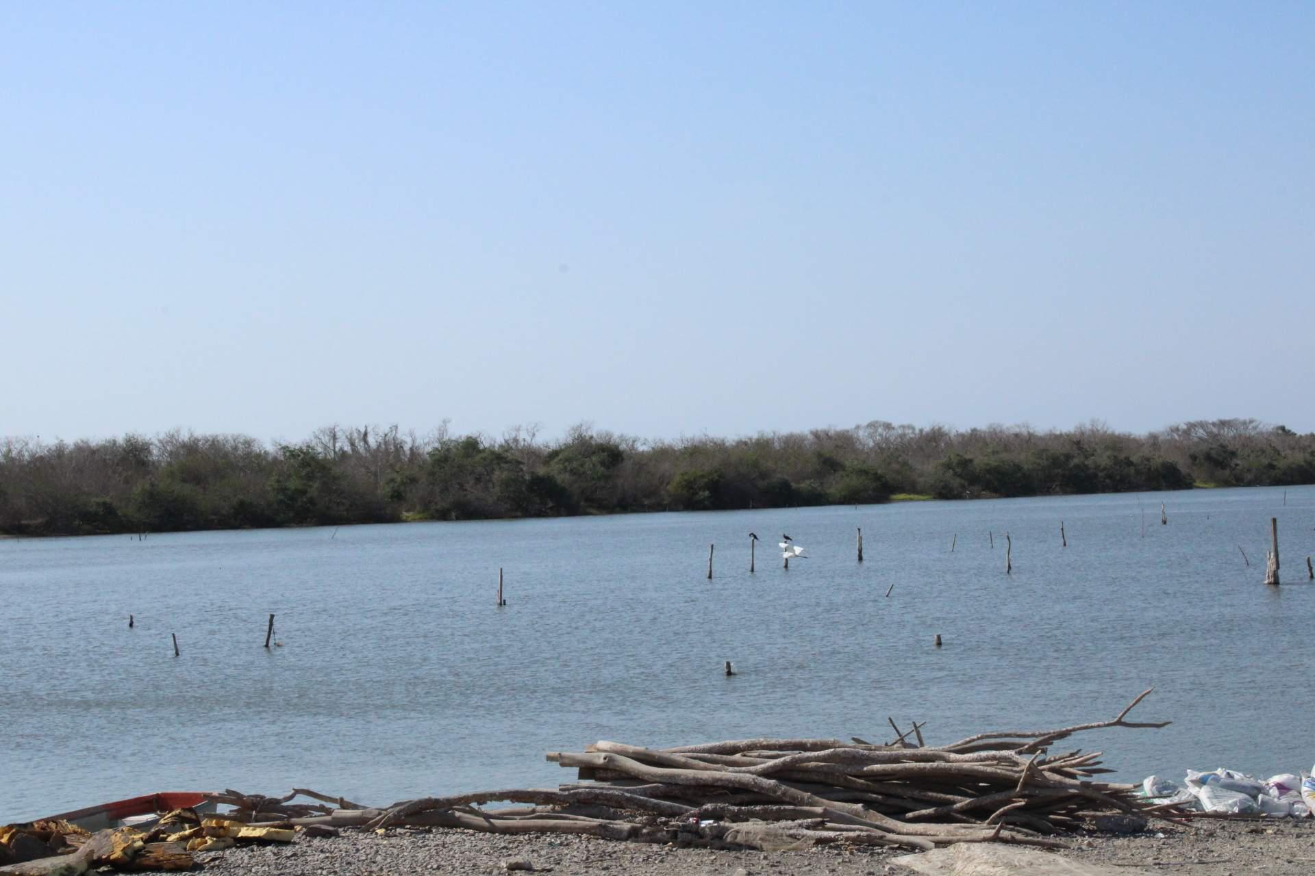 $!Genera temor mancha verde y espuma blanca en el Huizache-Caimanero