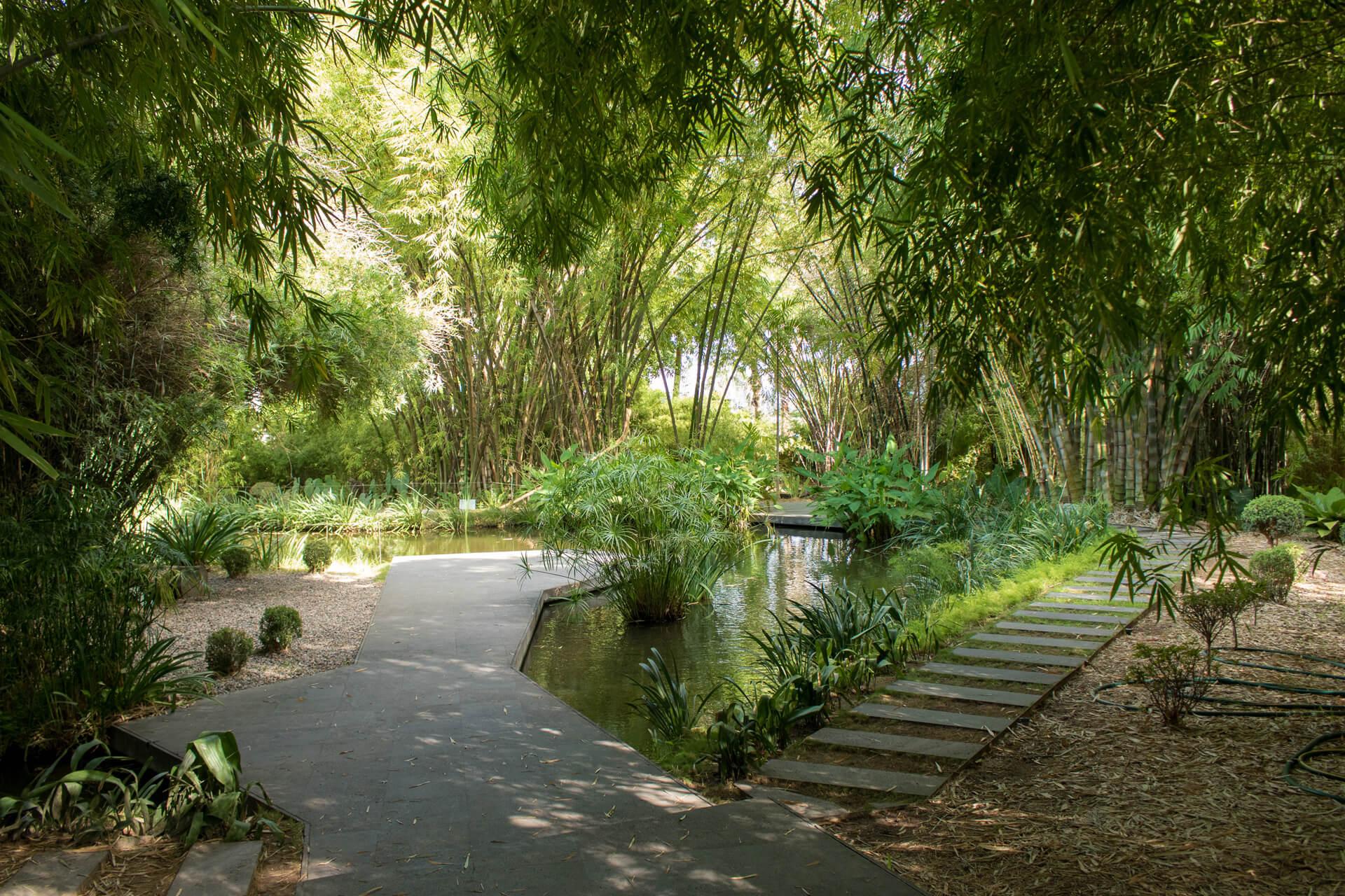 $!Incluye La Nación a Jardín Botánico de Culiacán como uno de los 7 más lindos del mundo