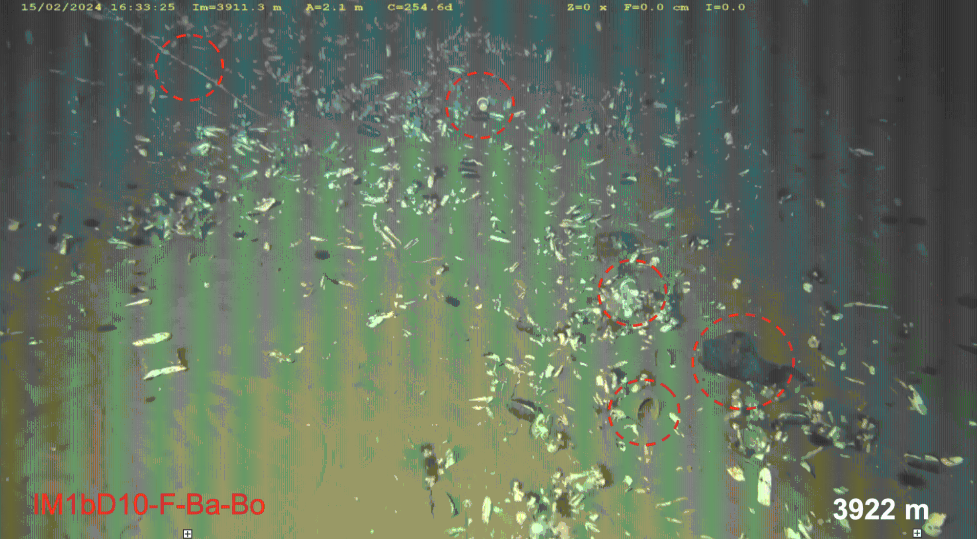 $!Una de las mayores concentraciones de residuos plásticos dentro de las comunidades biológicas de las fosas oceánicas profundas (almejas y tapetes bacterianos), a una profundidad aproximada de 3920 metros.