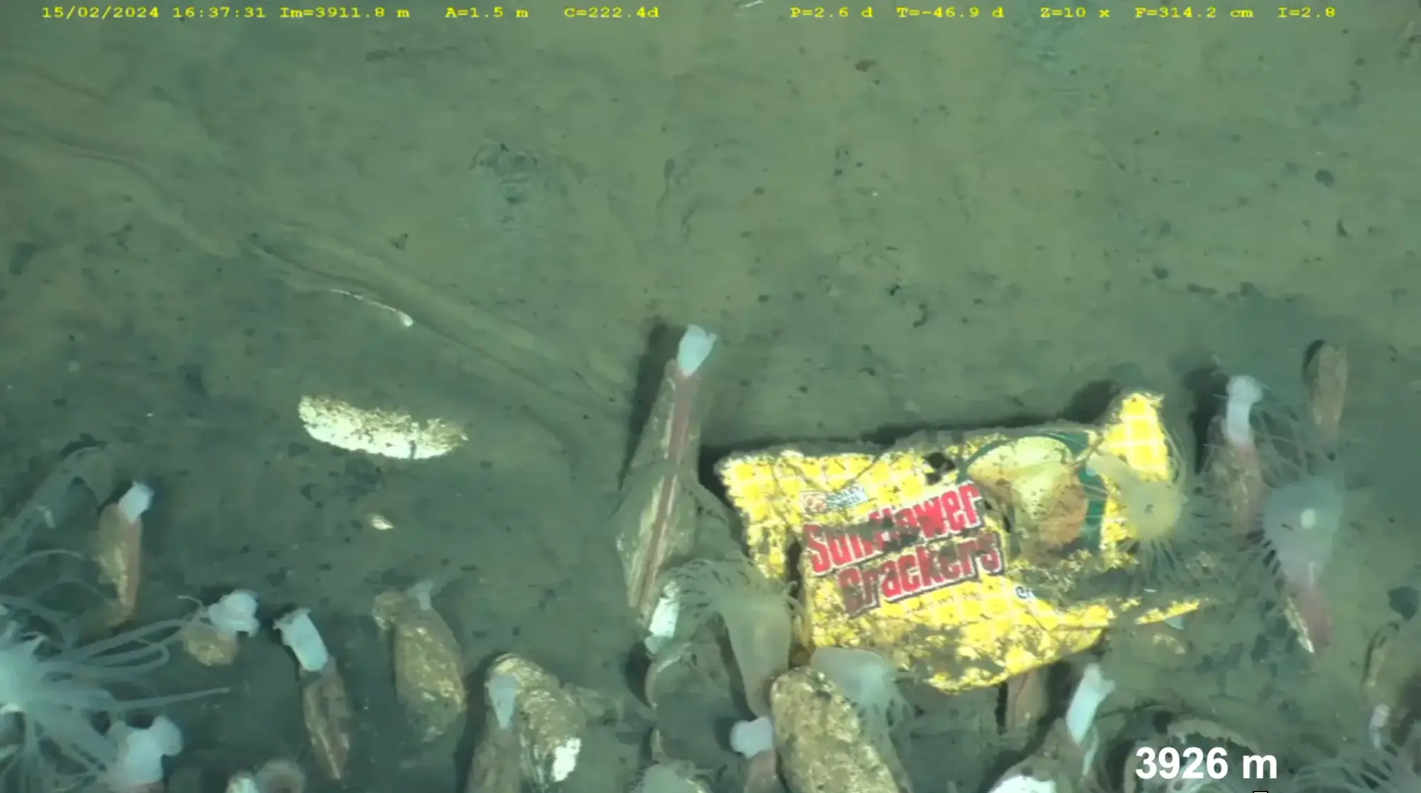 $!Una envoltura plástica de galletas encontrada a 3926 metros de profundidad.