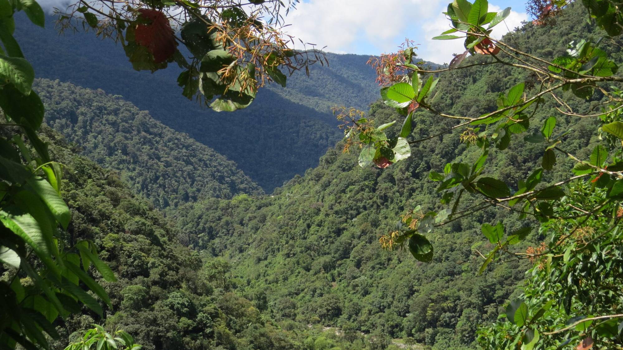 $!Paisaje de la Zona de Reserva Campesina La Tuna, ubicada en el municipio de Santa Rosa, en el departamento del Cauca, Colombia.