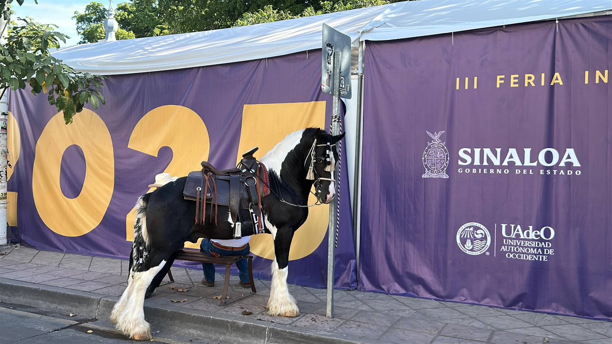 $!Celebran cabalgata por Culiacán para dar inicio a la Feria Ganadera 2025