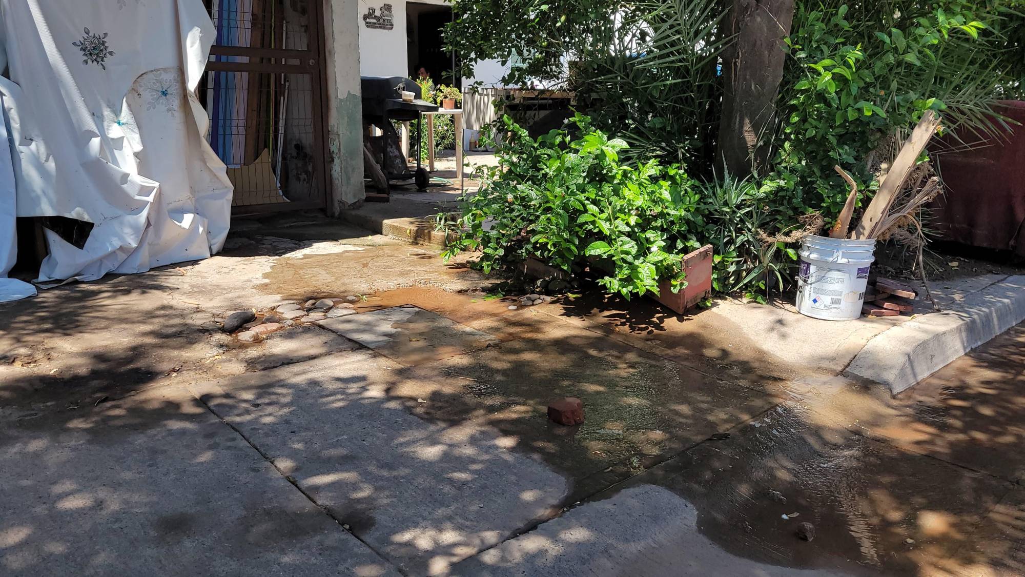 $!Hace cuatro días que agua limpia brota en la Agustina Ramírez, Culiacán, pese a sequía