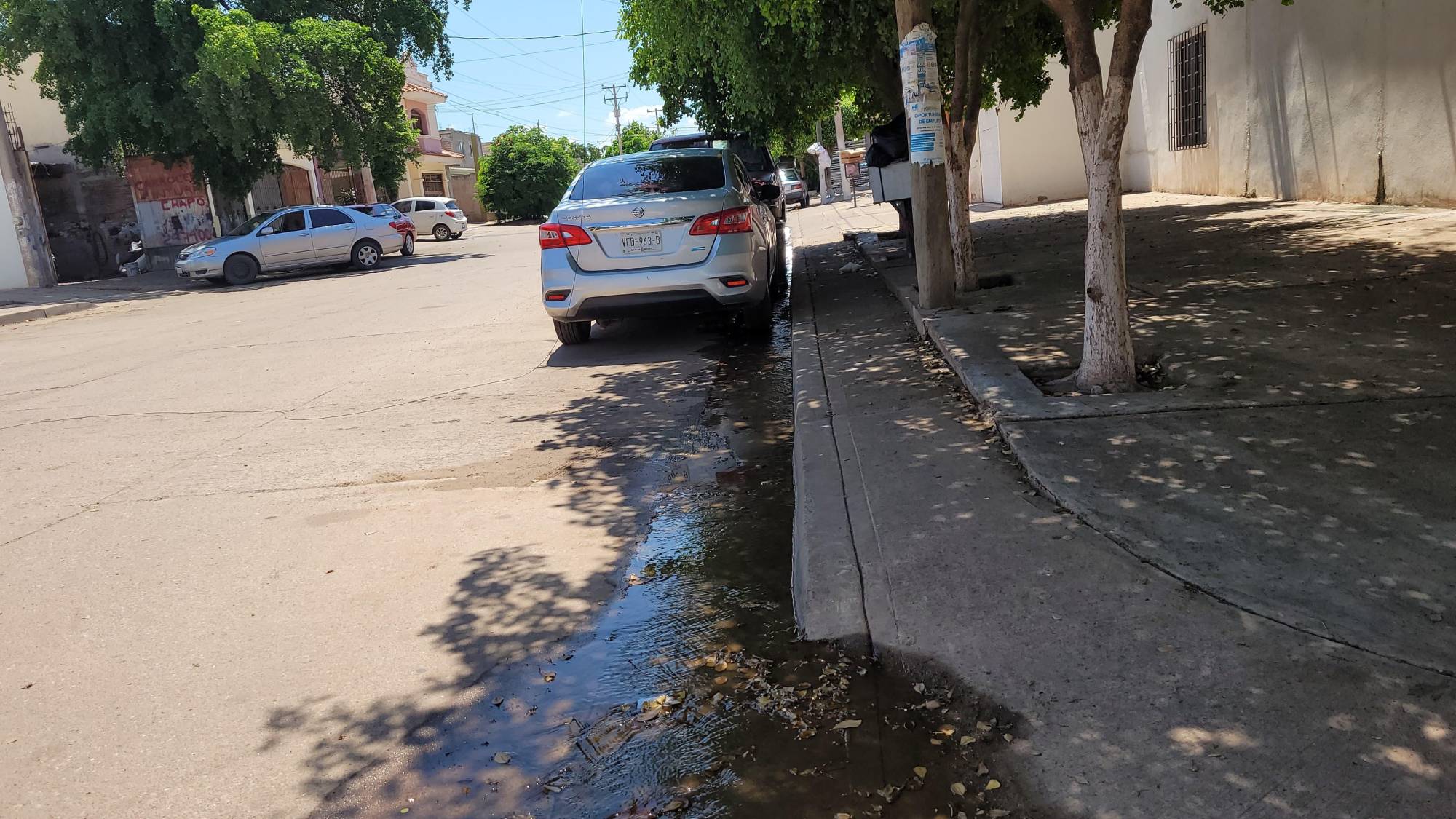 $!Hace cuatro días que agua limpia brota en la Agustina Ramírez, Culiacán, pese a sequía