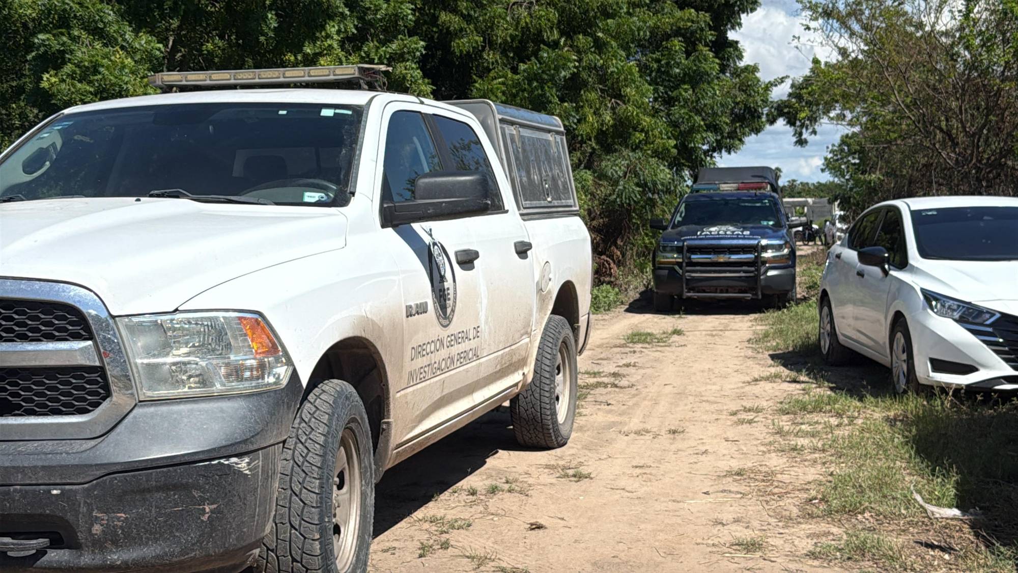 $!Matan a golpes a un hombre en un predio baldío de Eldorado