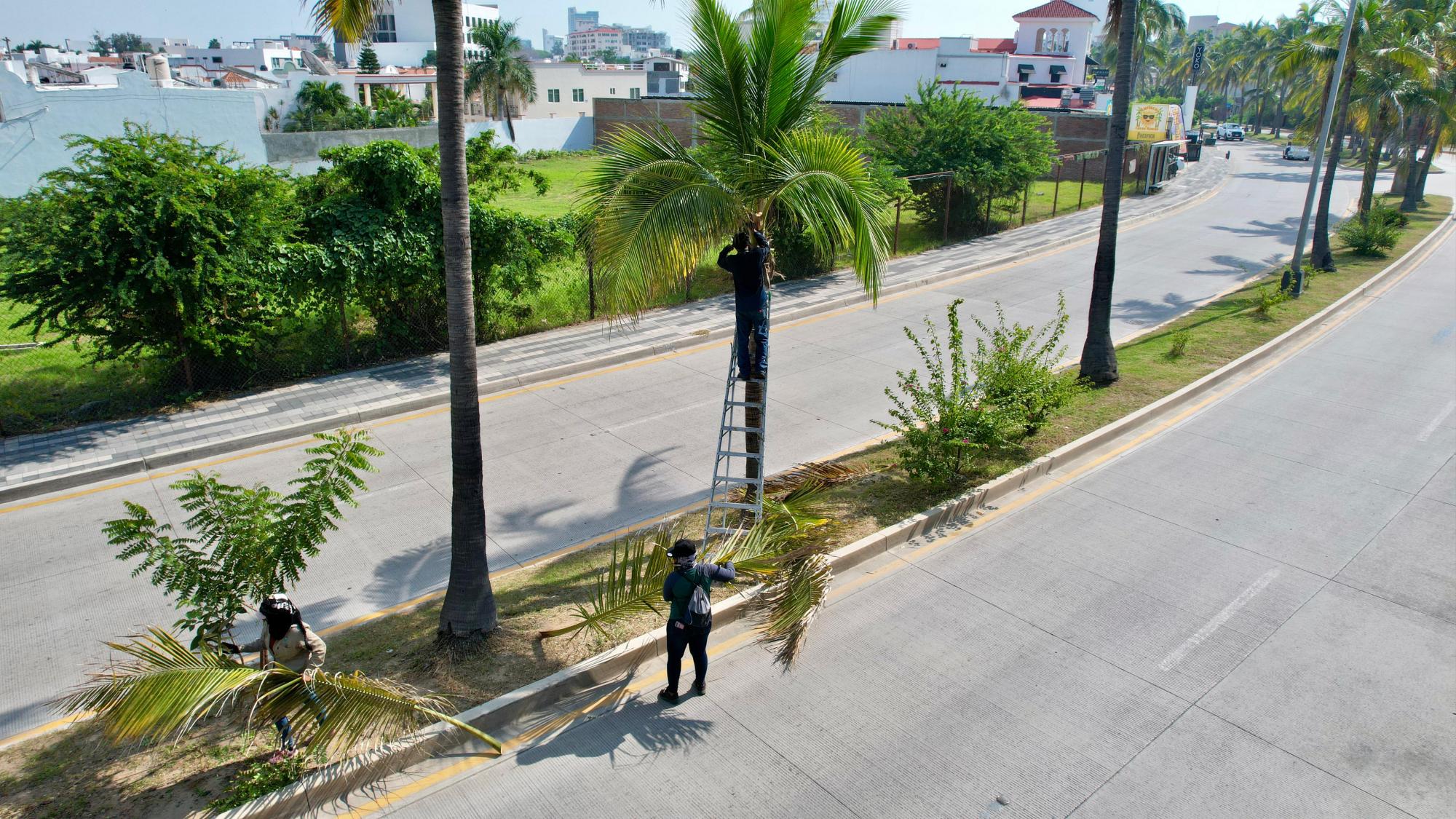 $!Servicios Públicos solo da mantenimiento a zona turística de Mazatlán