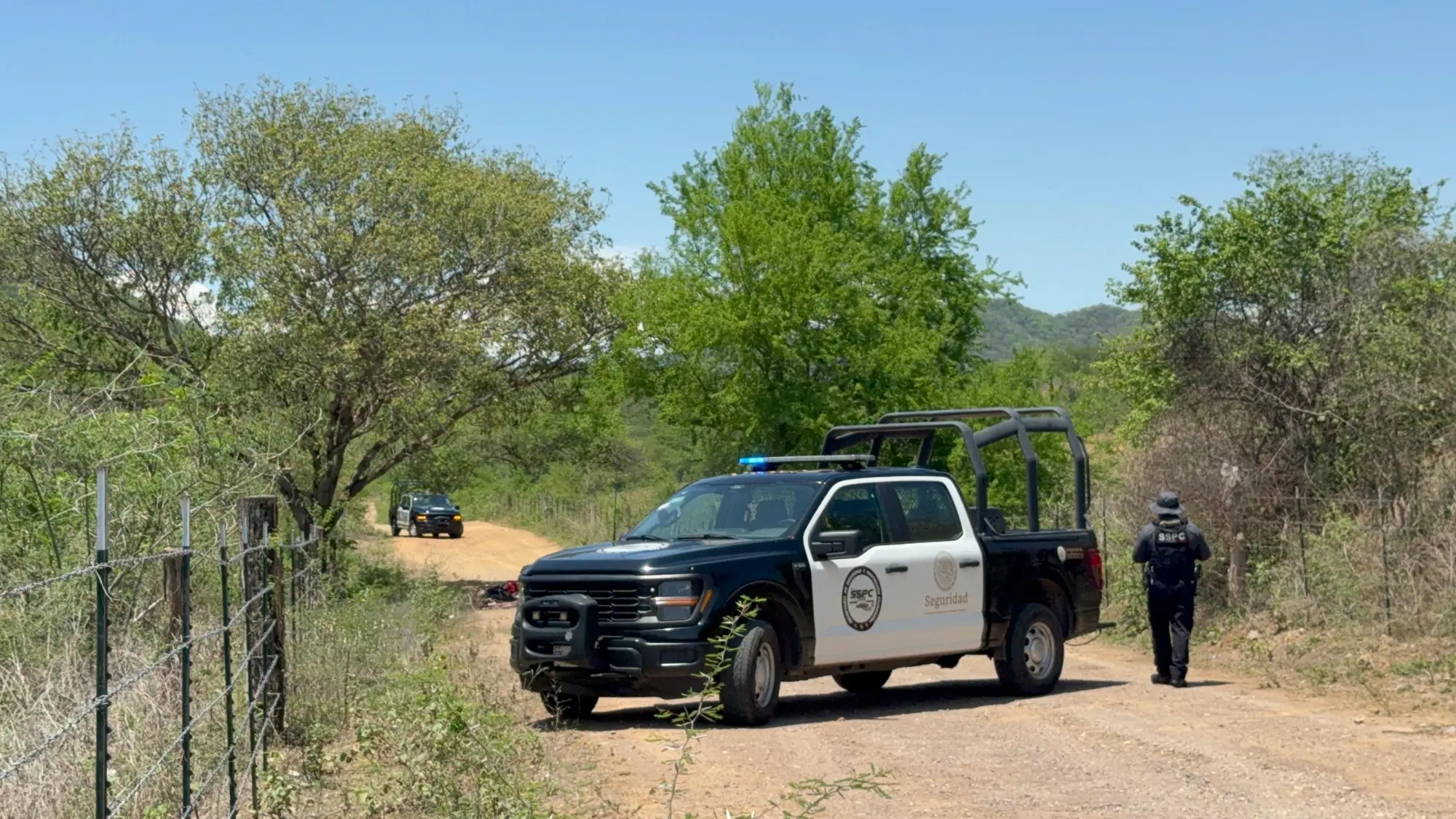 $!Hallan 3 hombres asesinados y atados en Tepuche, Culiacán; estaban debajo de un árbol