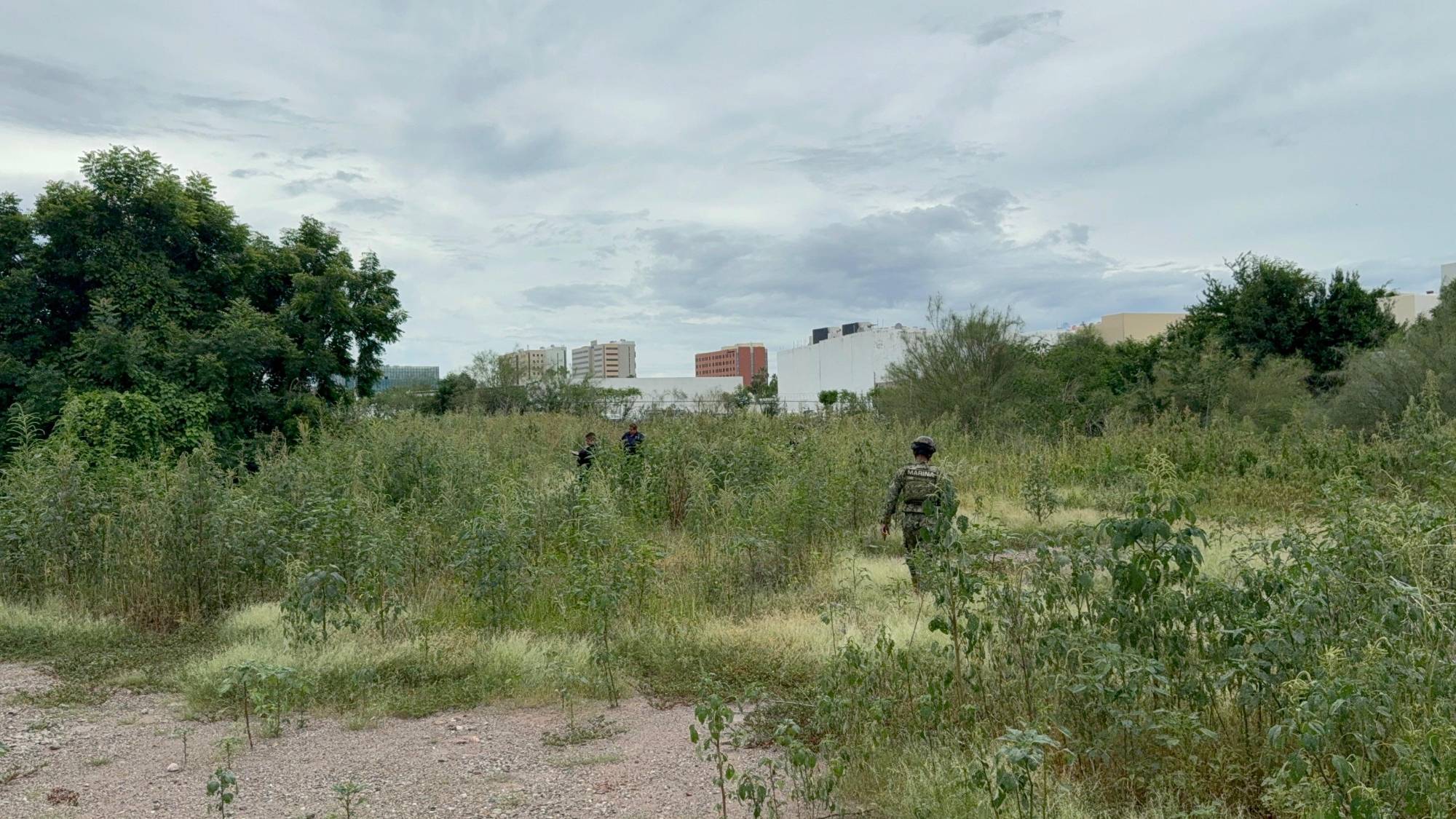 $!Hallan cuerpo en descomposición en lote baldío frente a SEPyC en Culiacán