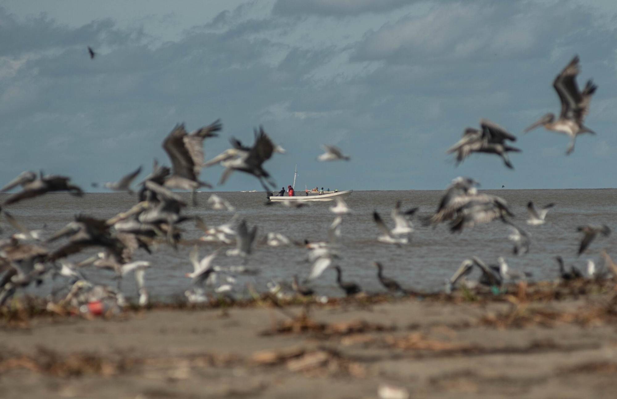 $!Imágenes satelitales revelan seis años de derrames de petróleo no reportados por las empresas en el Golfo de México