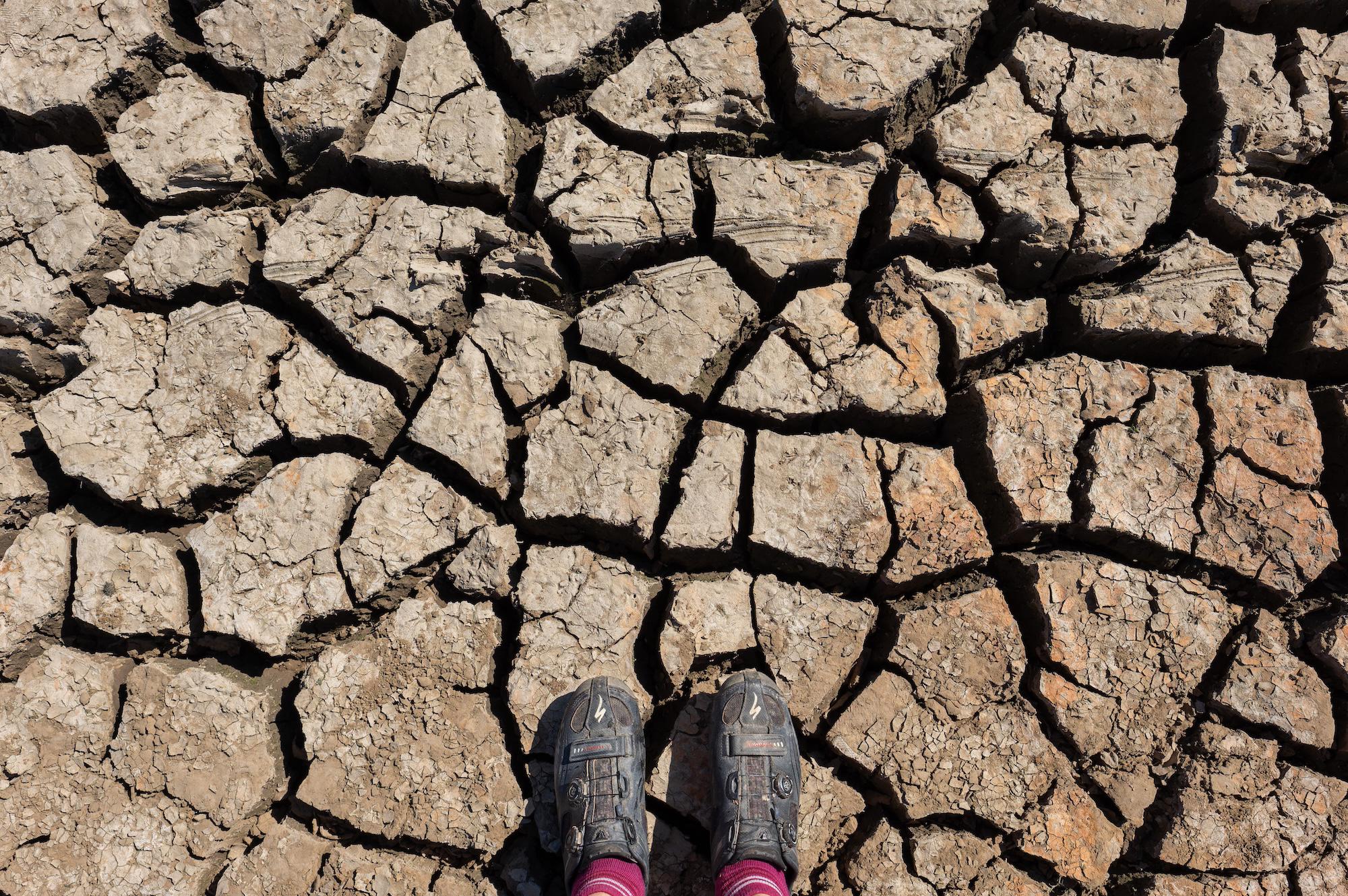 $!Los países miembros de Naciones Unidas se reunirán en los próximos días para buscar soluciones a la desertificación de los suelos.