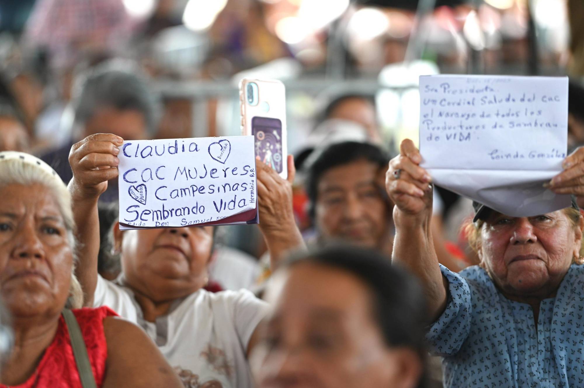 $!Próxima semana inicia el pago a mujeres de 60, 61 y 62 años de la Pensión Mujeres Bienestar, anuncia Sheinbaum