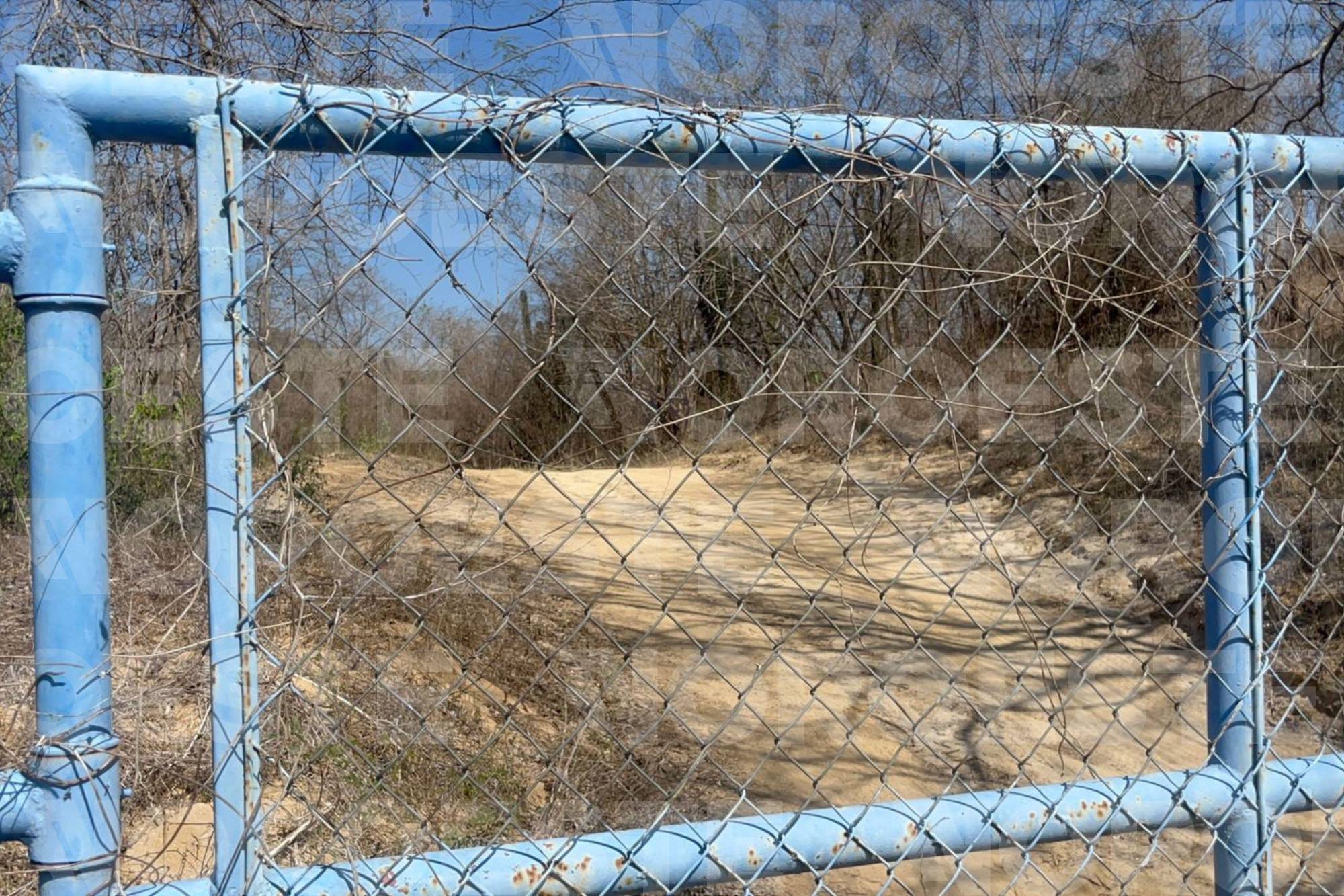 $!Mantiene FGR investigaciones en primera fosa clandestina localizada en inmediaciones de El Verde, Concordia