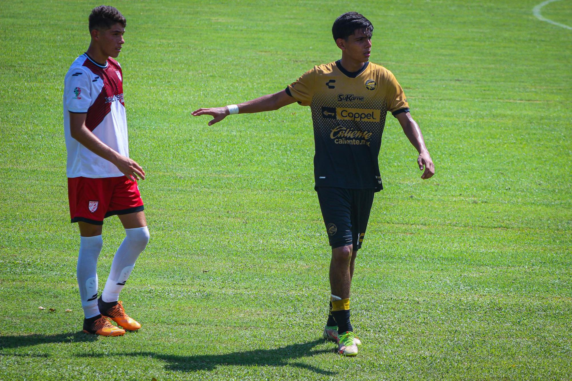 $!Dorados de Sinaloa mantiene el buen paso en la TDP