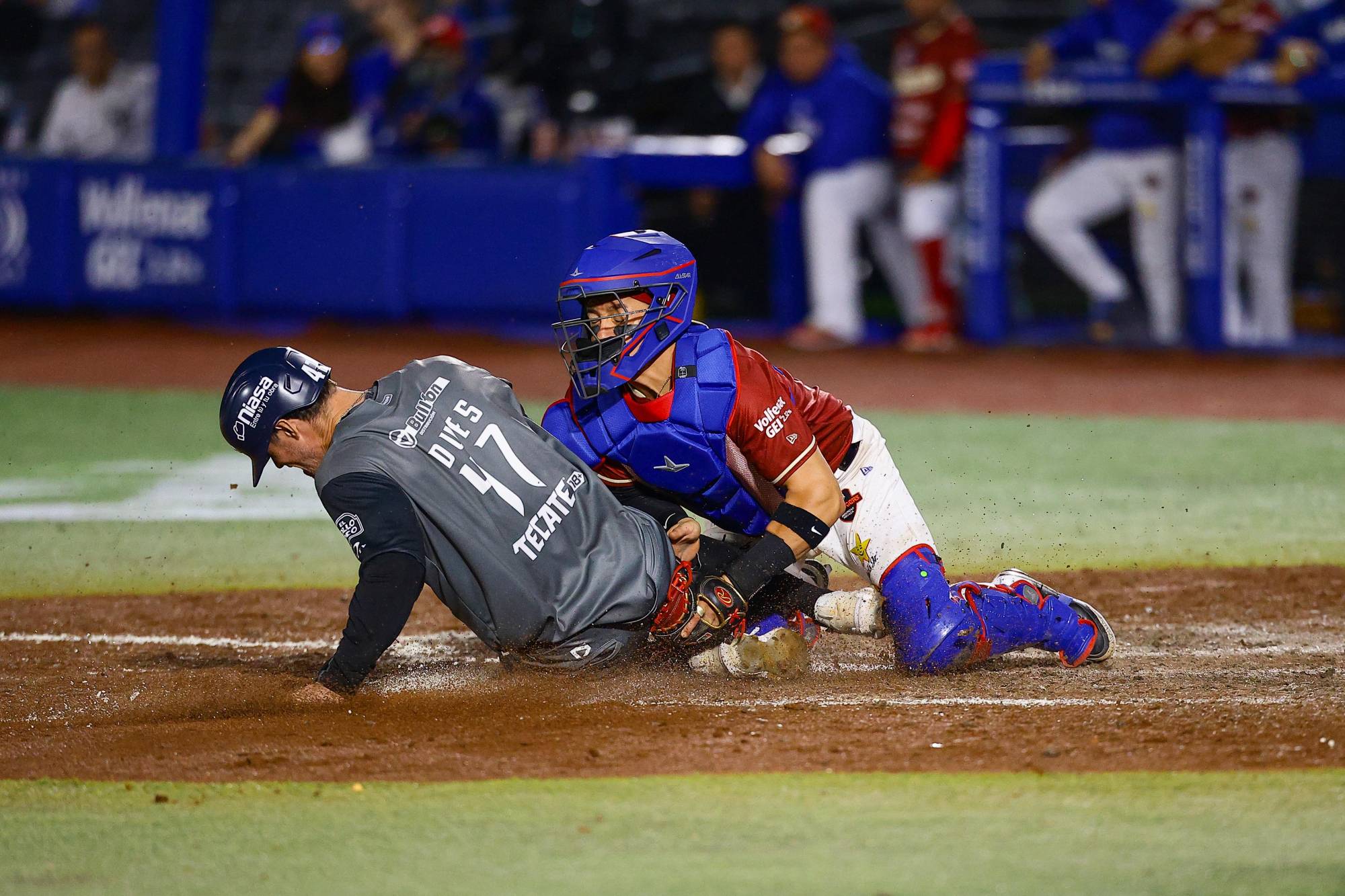 $!Quiroz conecta su hit 400 en la LMP, pero Algodoneros cae 7-6 ante Charros