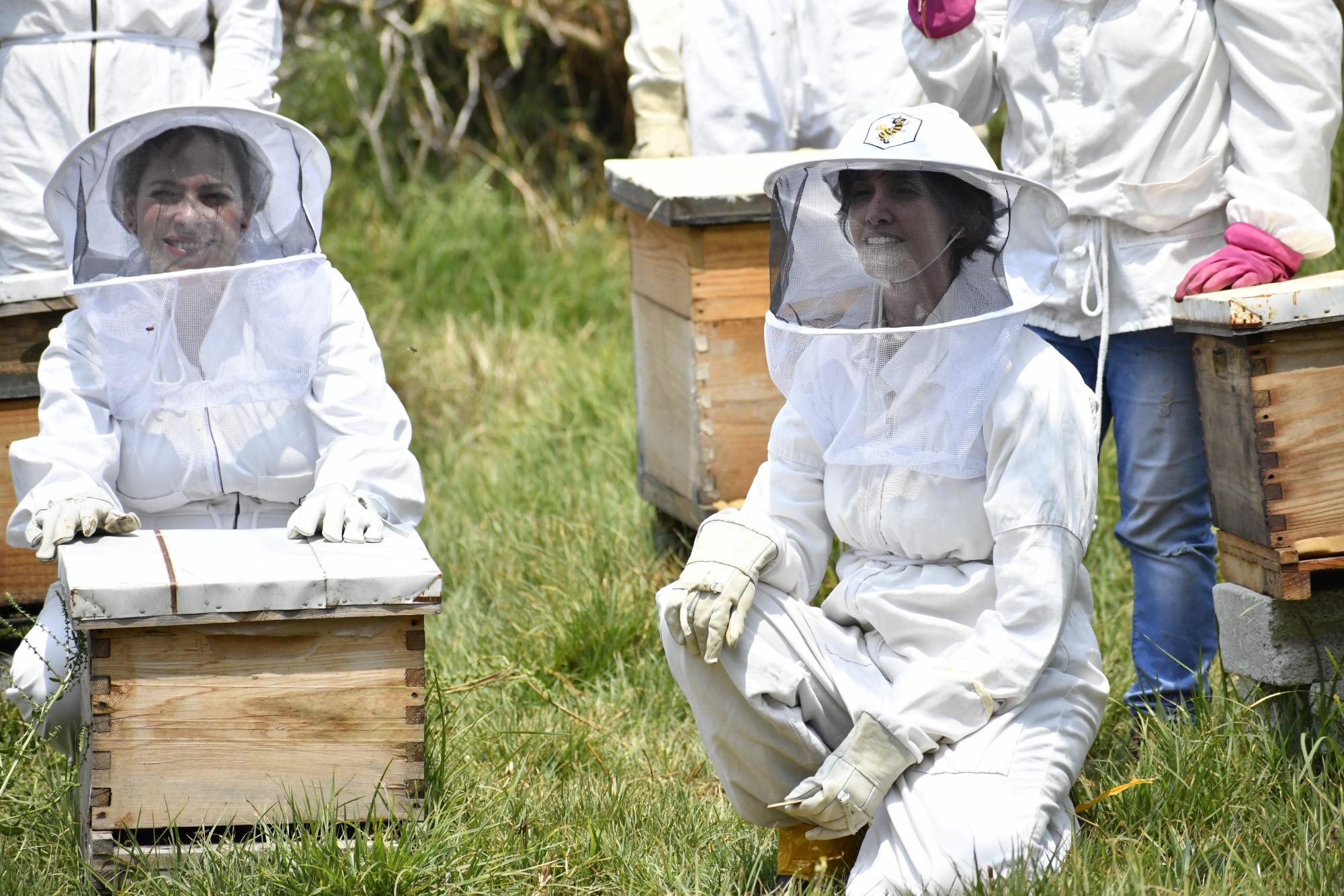 $!Abejas de Barrio, un turismo en México que acelera la seguridad alimentaria