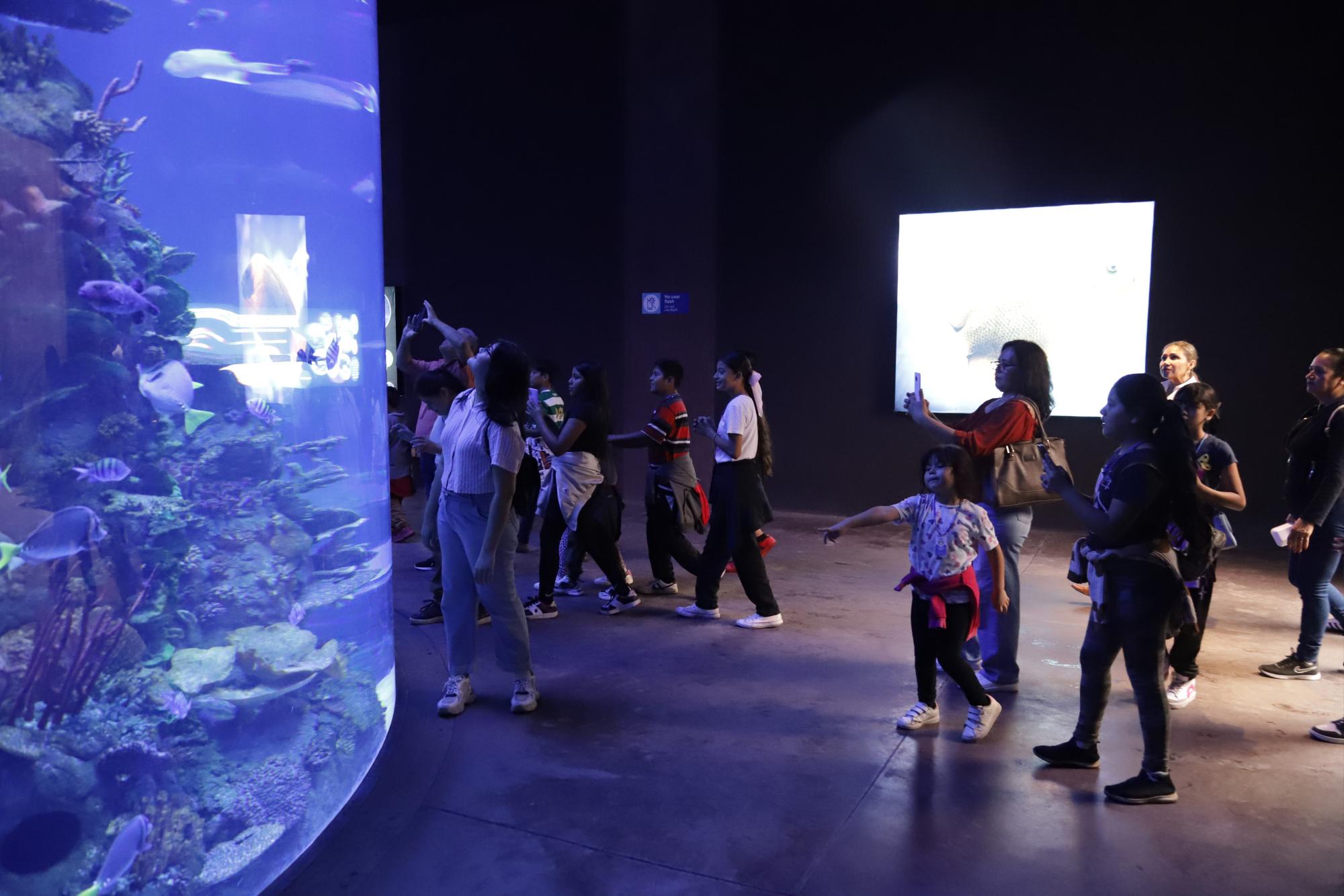 $!Los pequeños disfrutaron de una alegre mañana en el Gran Acuario Mazatlán organizada por el Club Rotario Mazatlán Norte.