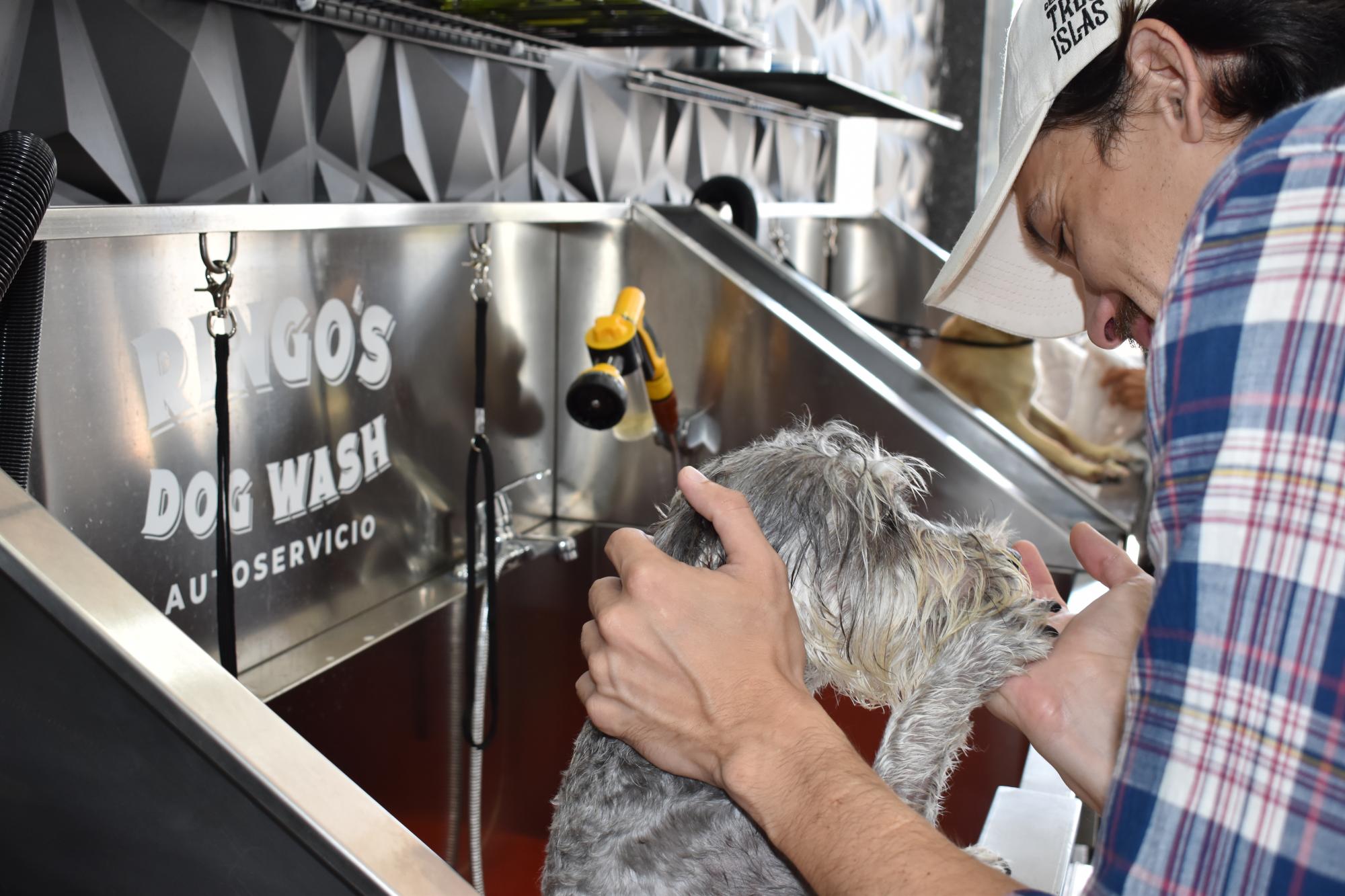 $!Ringo’s Dog Wash: el primer autoservicio de baño canino en Mazatlán
