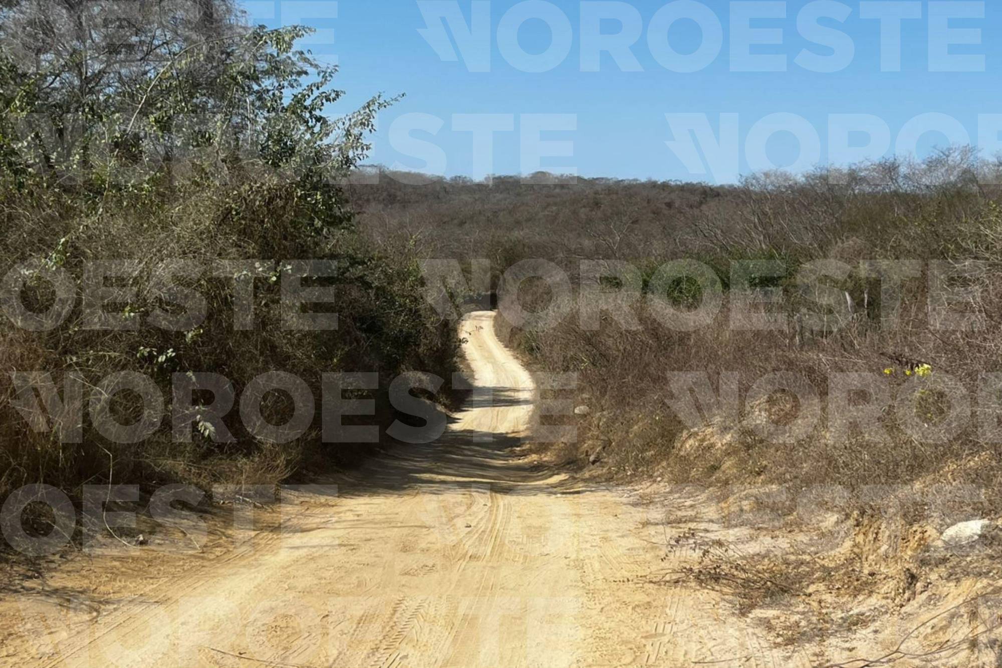 $!Mantiene FGR investigaciones en primera fosa clandestina localizada en inmediaciones de El Verde, Concordia