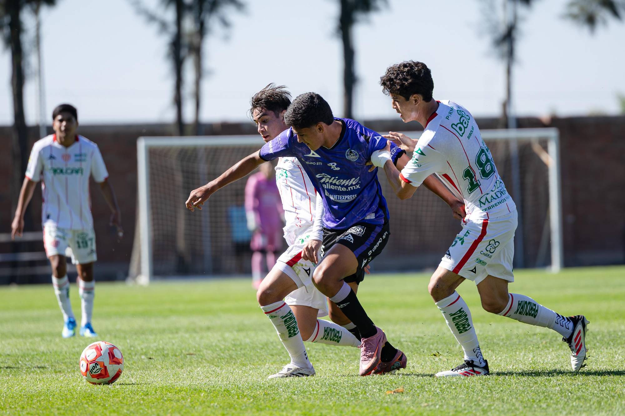 $!Mazatlán FC cae en visita a Necaxa en jornada 13 del Clausura Sub 21 y Sub 19