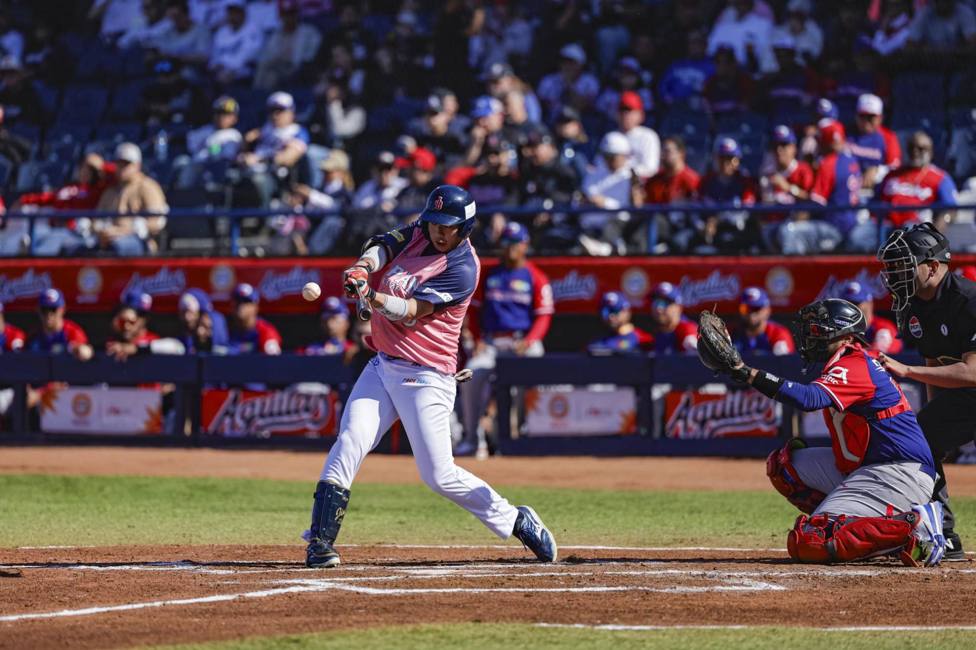 $!Ofensiva de Dominicana castiga a Japón en la Serie del Caribe