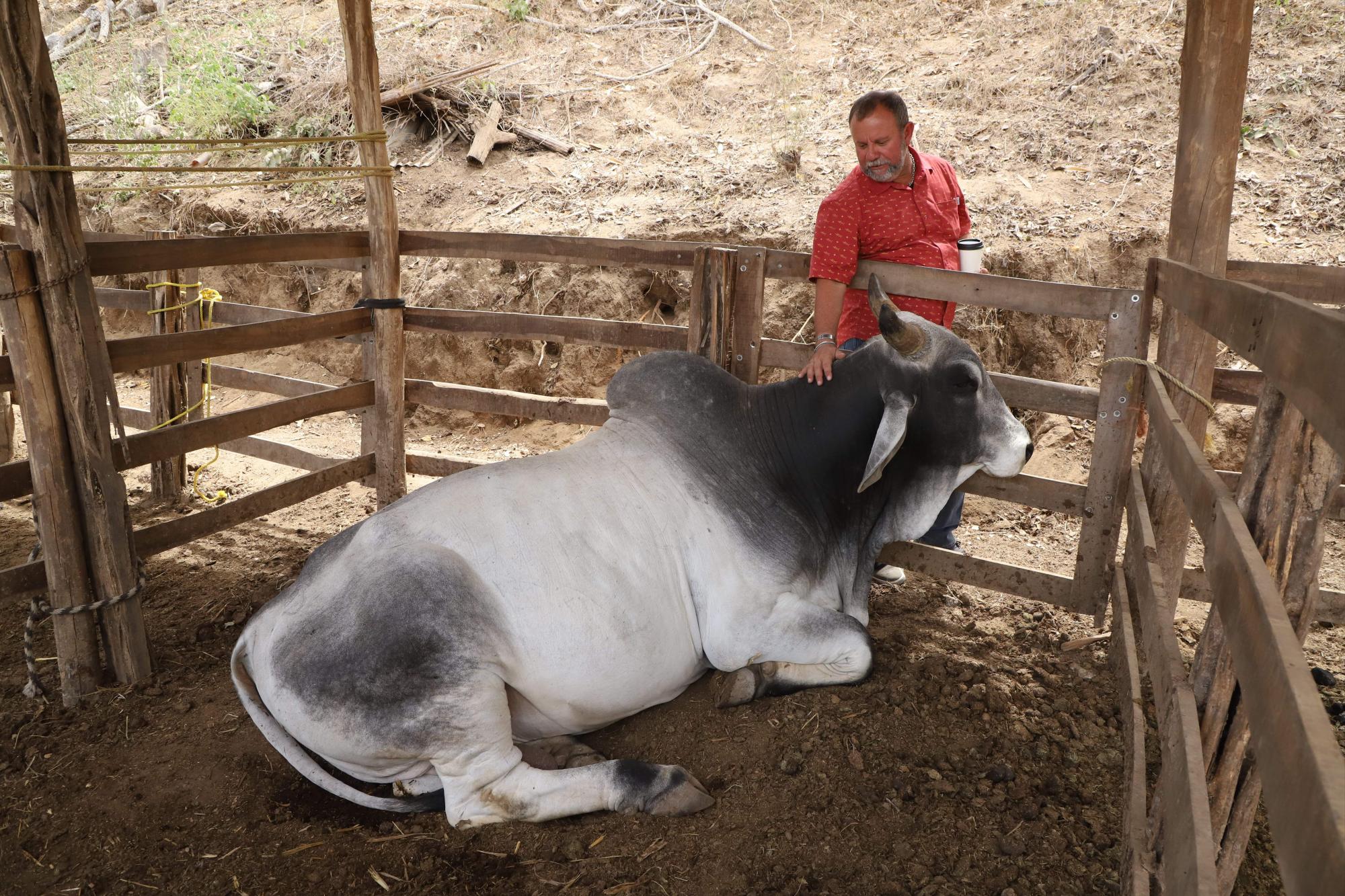 $!“El Toro Zeuss” el orgullo de Roberto Osuna.