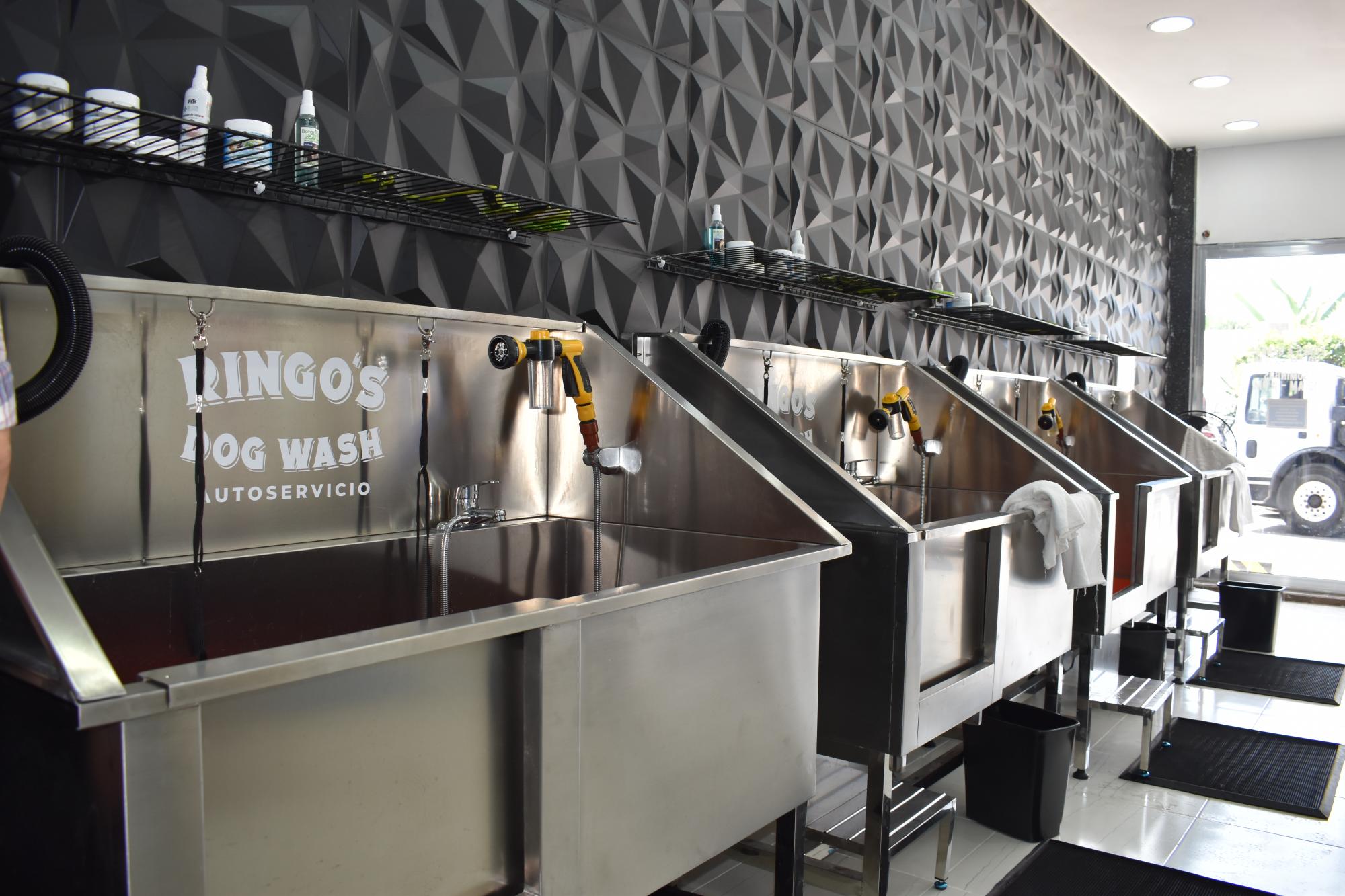 $!Ringo’s Dog Wash: el primer autoservicio de baño canino en Mazatlán