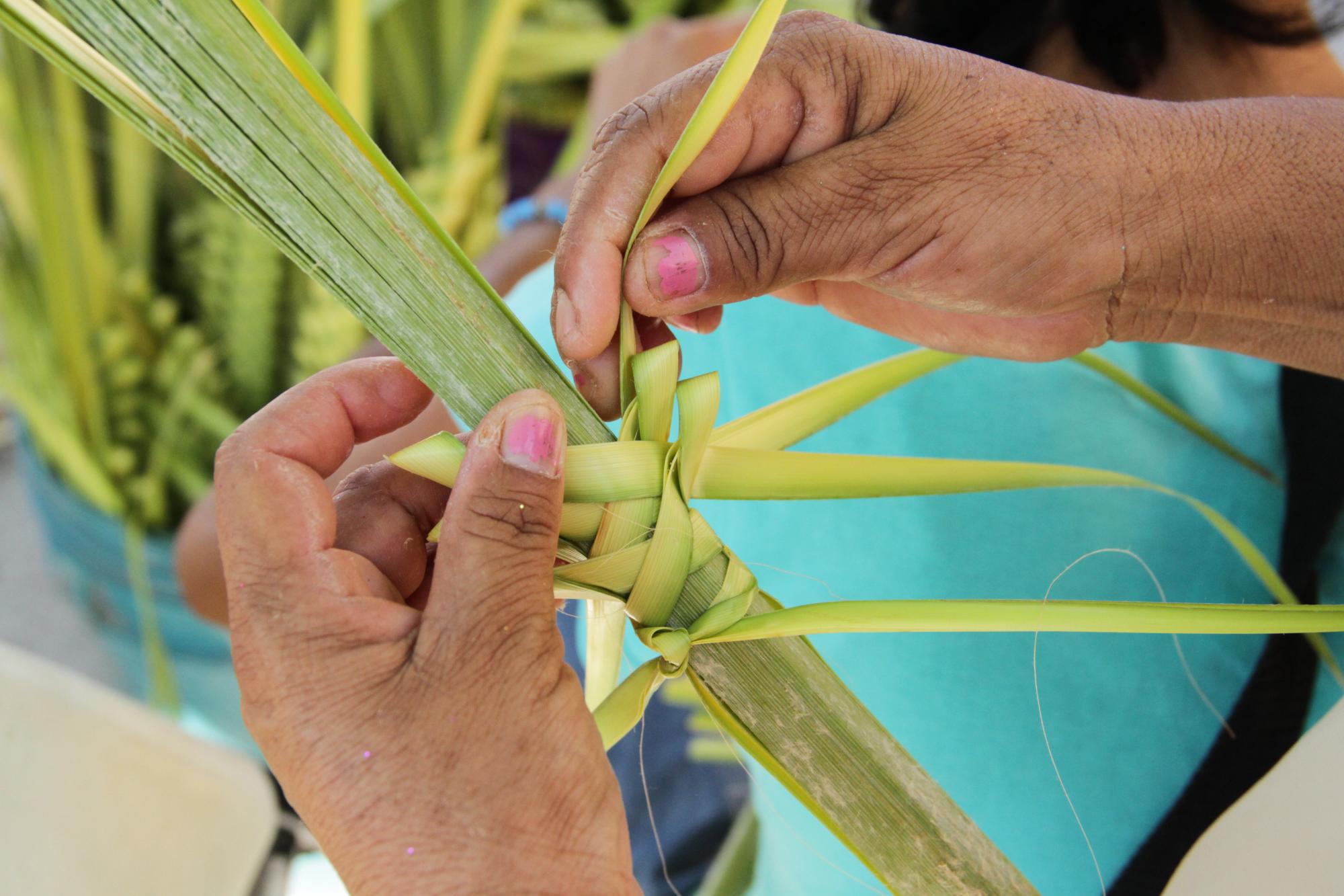 $!Bendiciòn de palmas en divino redentor en la Jabalies.