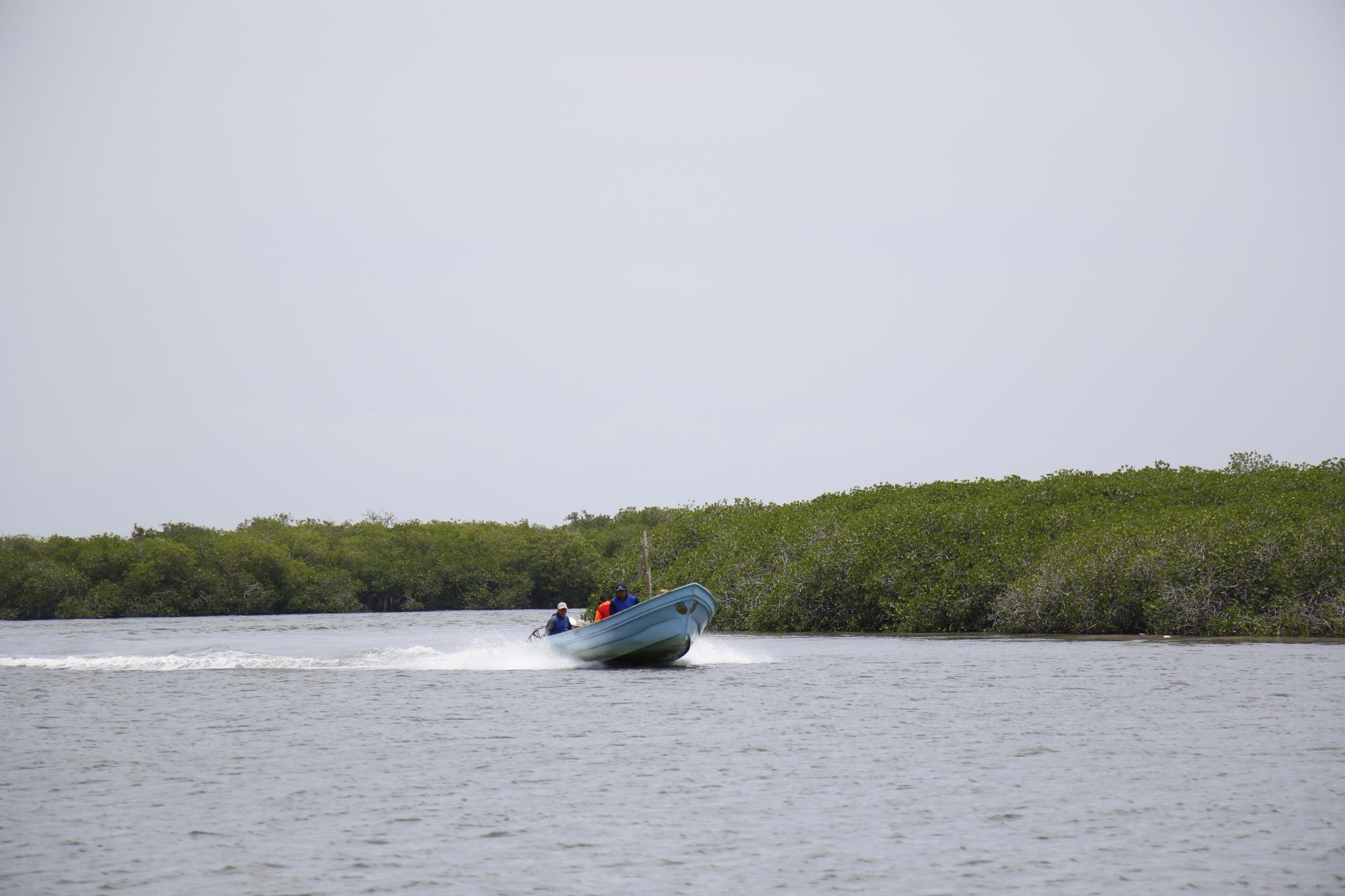 $!Comunidades costeras: la lucha por la pesca sostenible en México