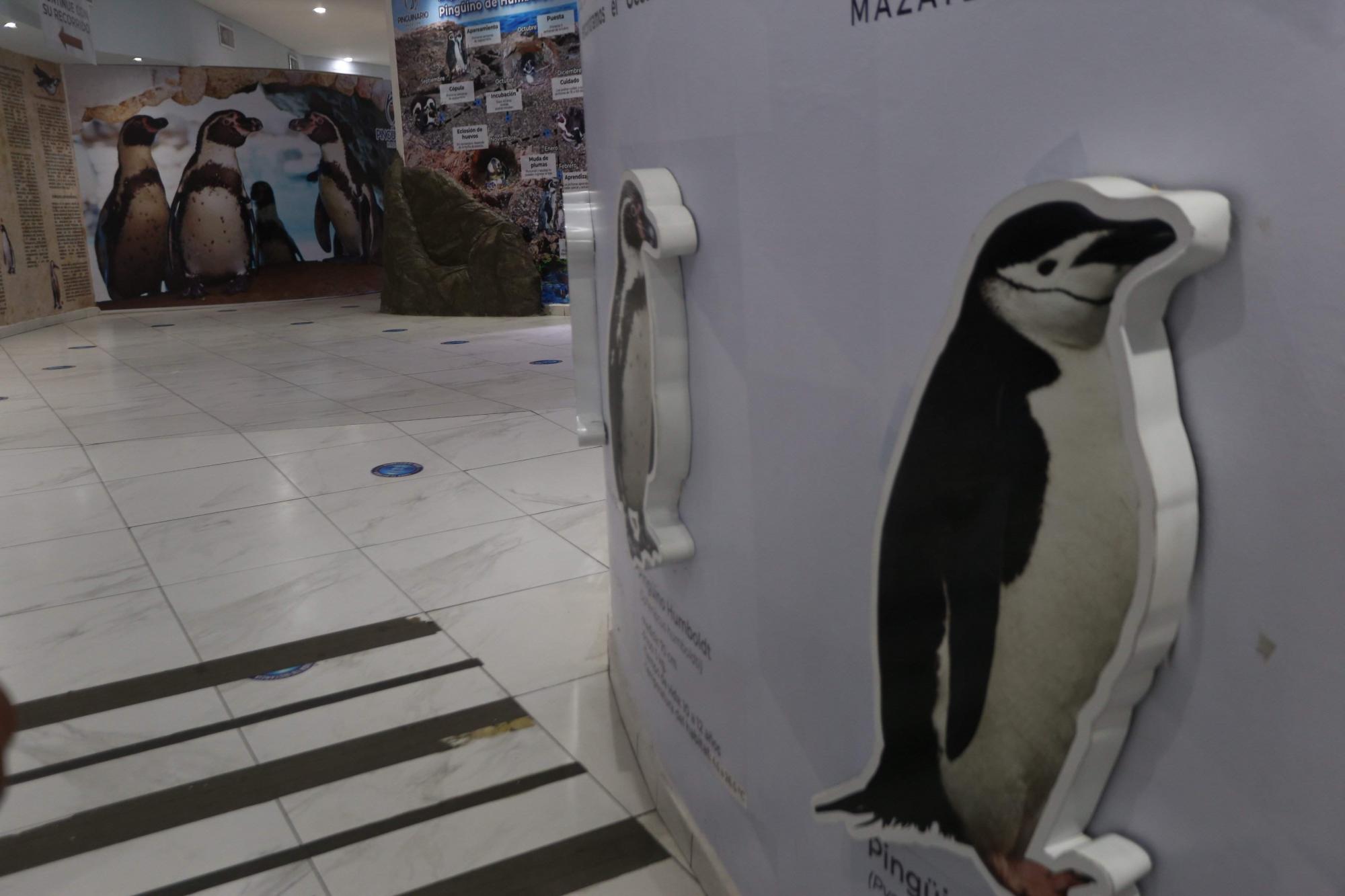 $!Acuario Mazatlán alista su cierre tras 42 años siendo el sitio más visitado de Mazatlán