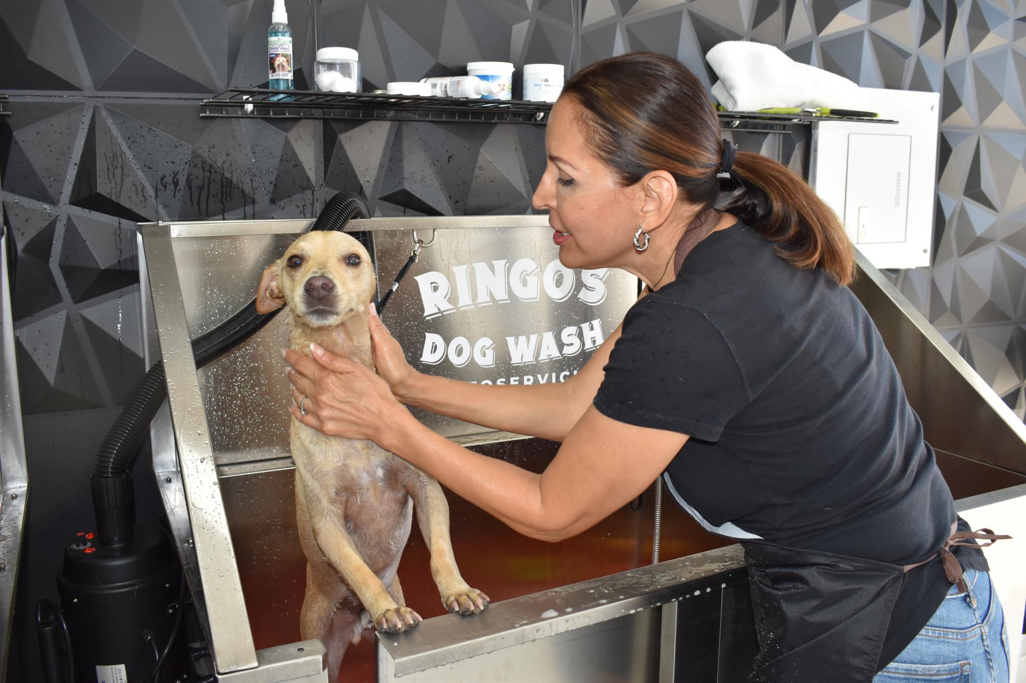 $!Ringo’s Dog Wash: el primer autoservicio de baño canino en Mazatlán