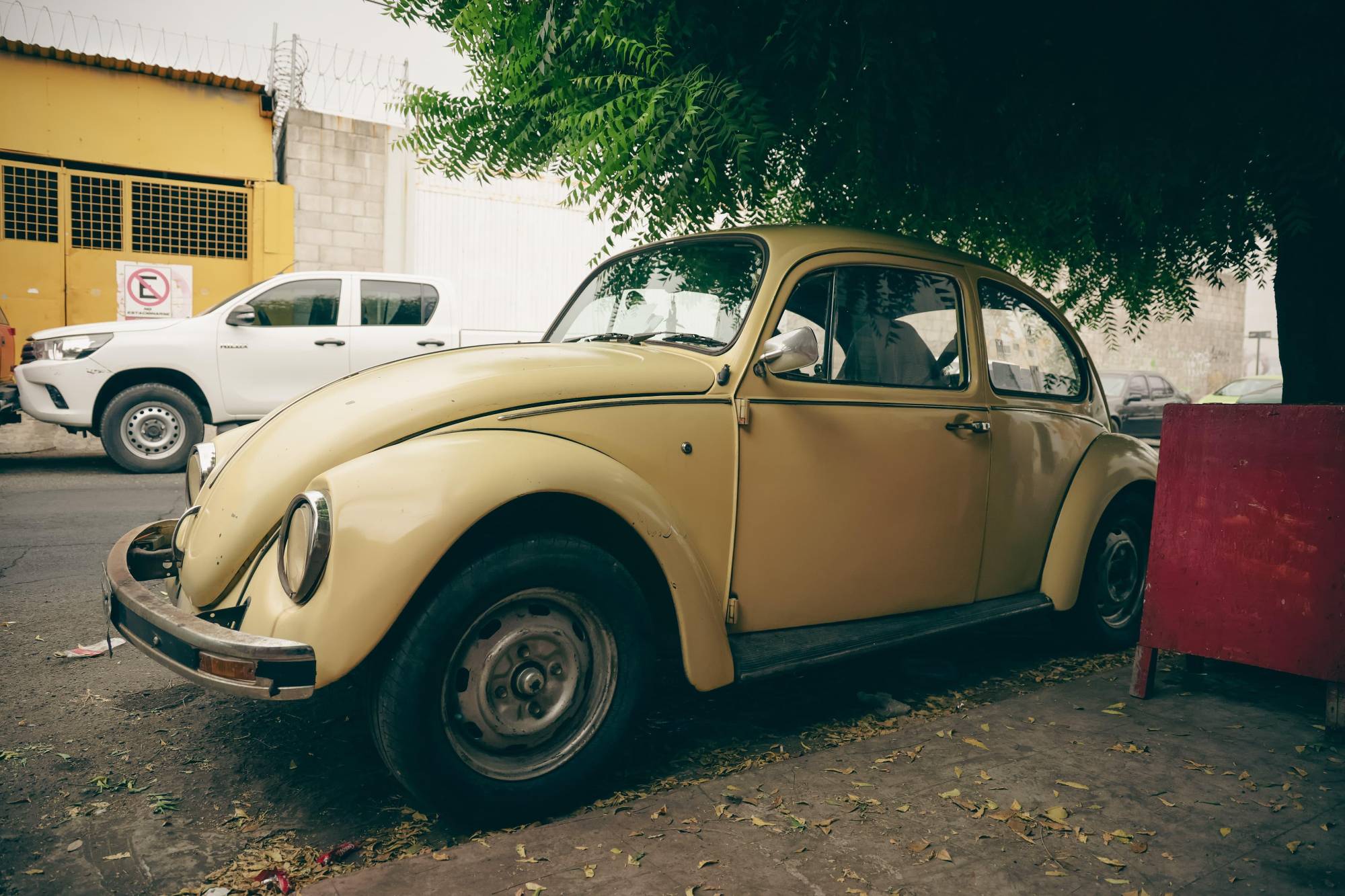 $!El padre, el hijo y el ‘vocho’: don Arturo y el amor eterno a su retoño
