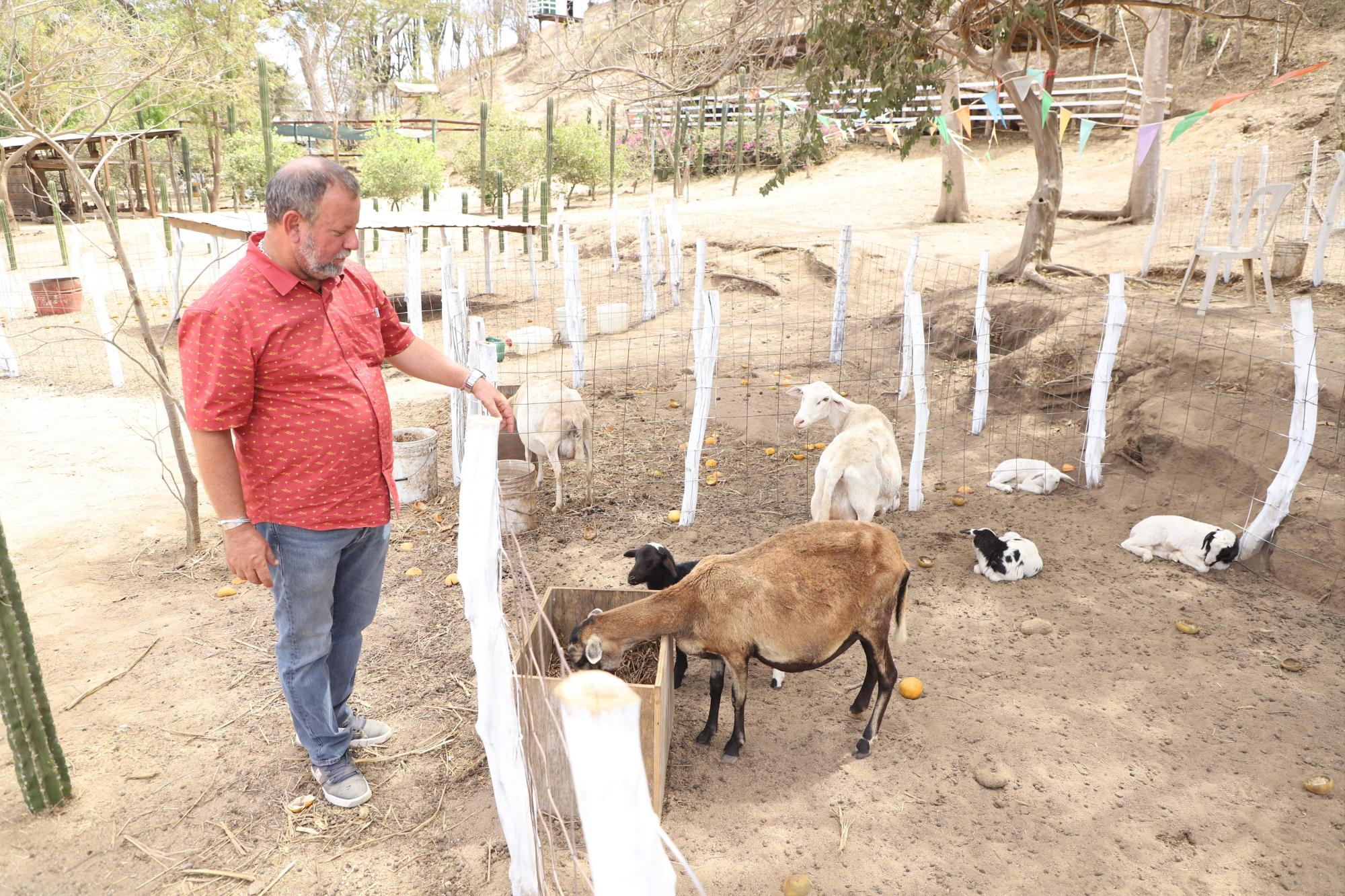 $!Lo que ‘La Vaca Lupe’ parió