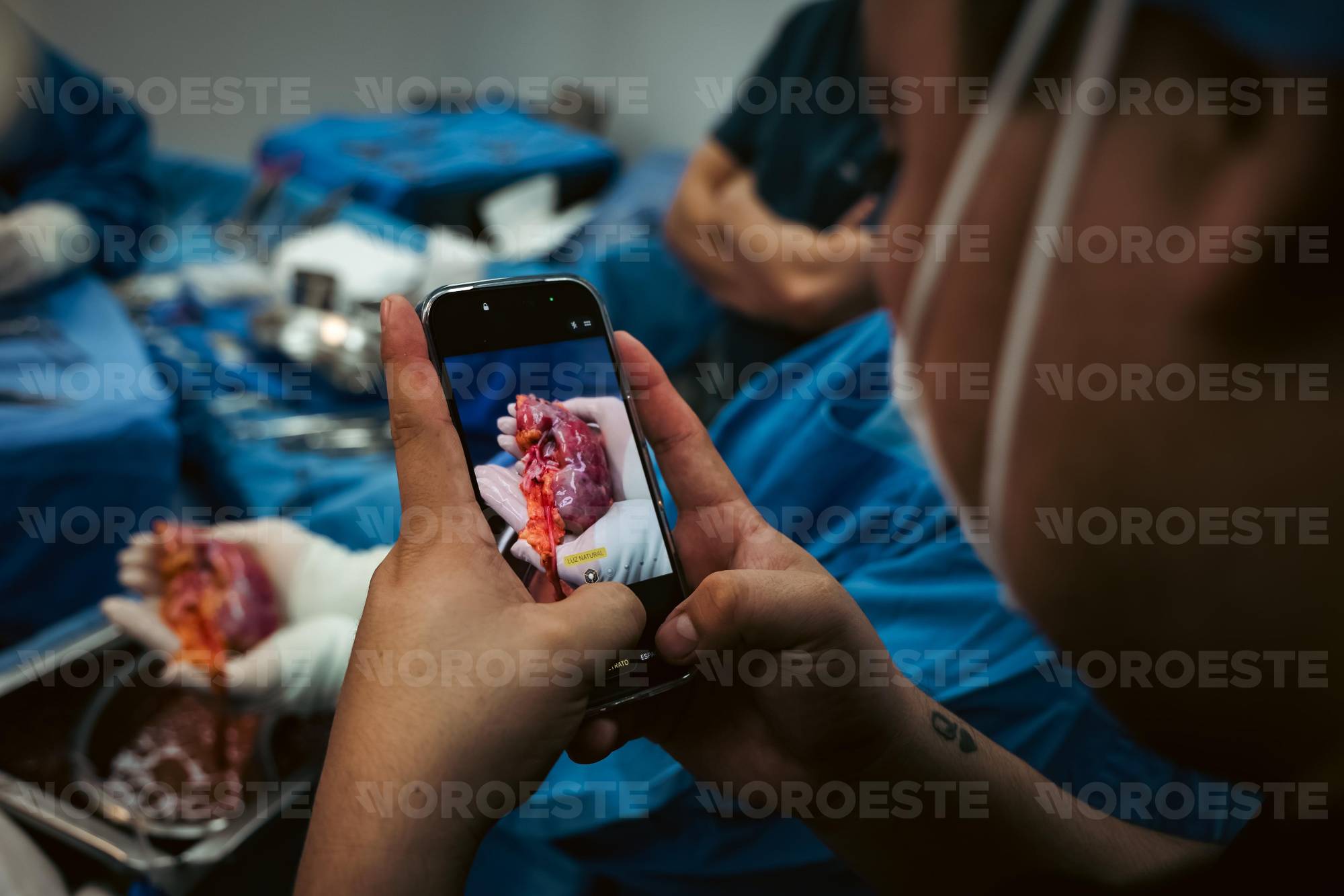 $!¿Darías una parte de ti?: La historia de Oswaldo y Flor, los hermanos que devolvieron los trasplantes a Sinaloa