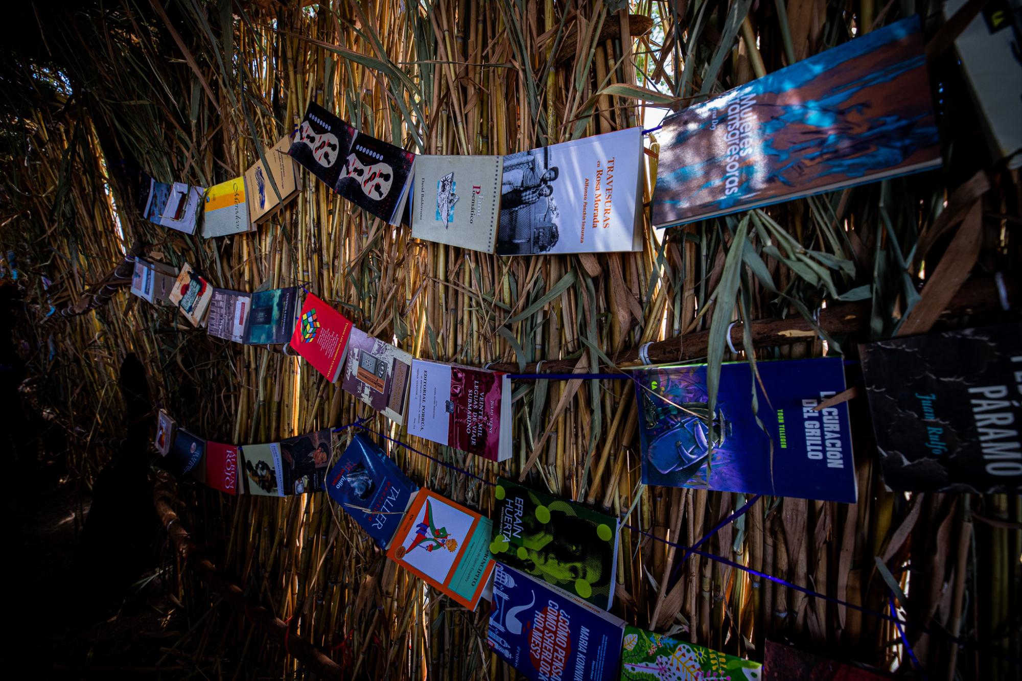 $!Lectura de poesía y diversa literatura se lleva a cabo en Navachiste.
