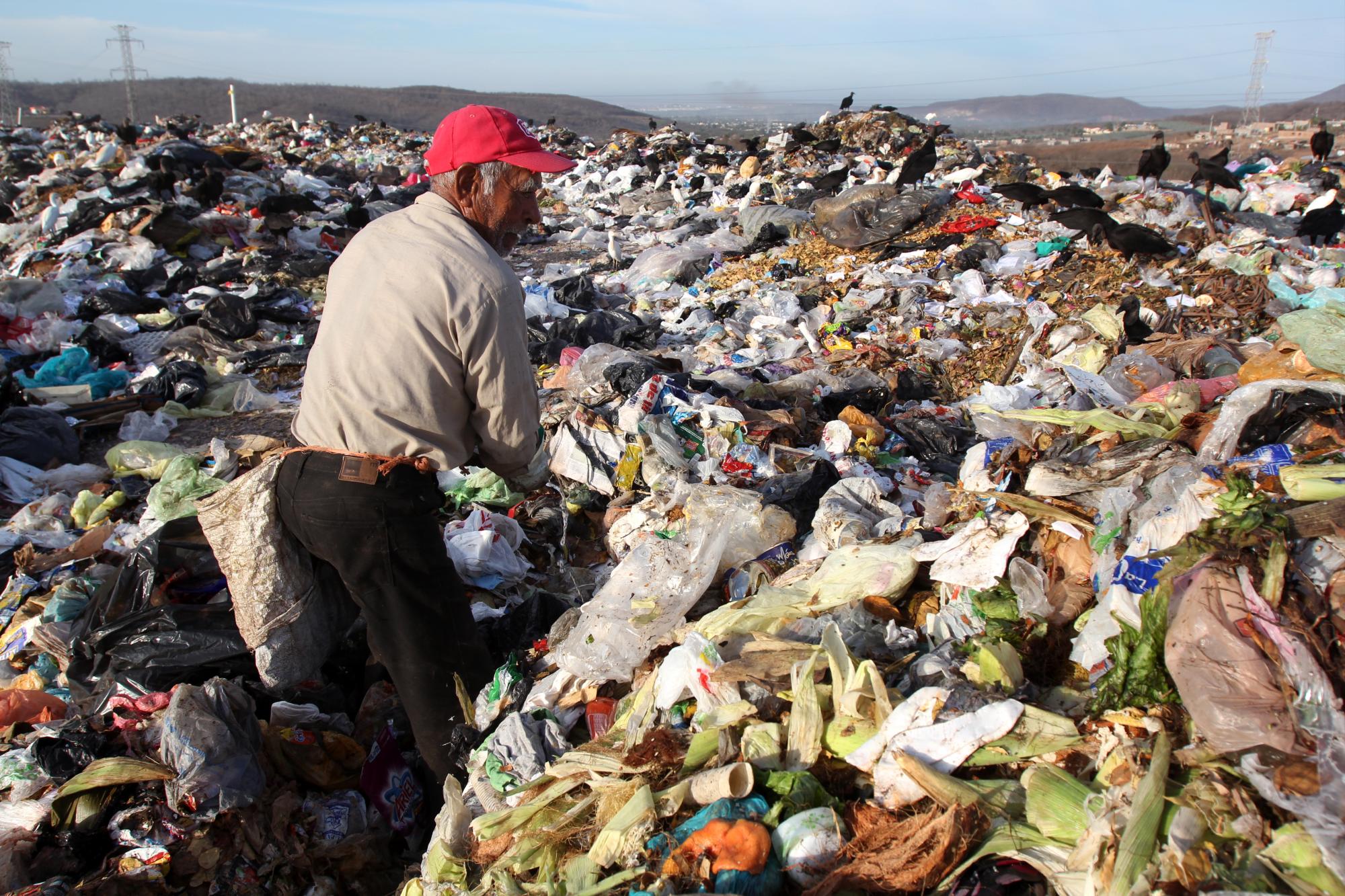 $!Iniciativas ecológicas para Culiacán