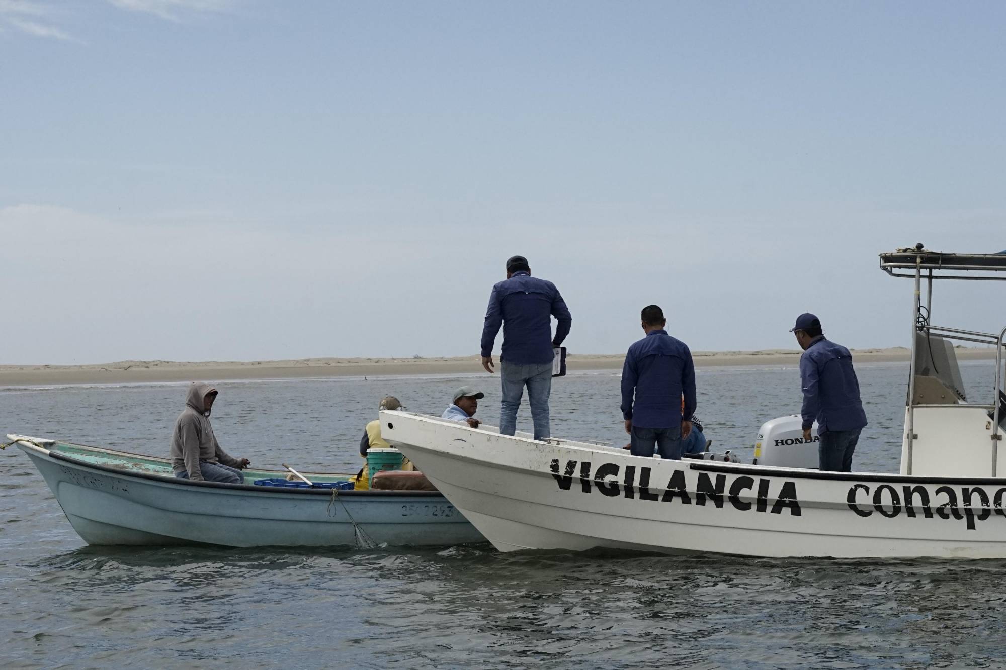 $!Yucatán presenta alta denuncia por pesca ilegal.