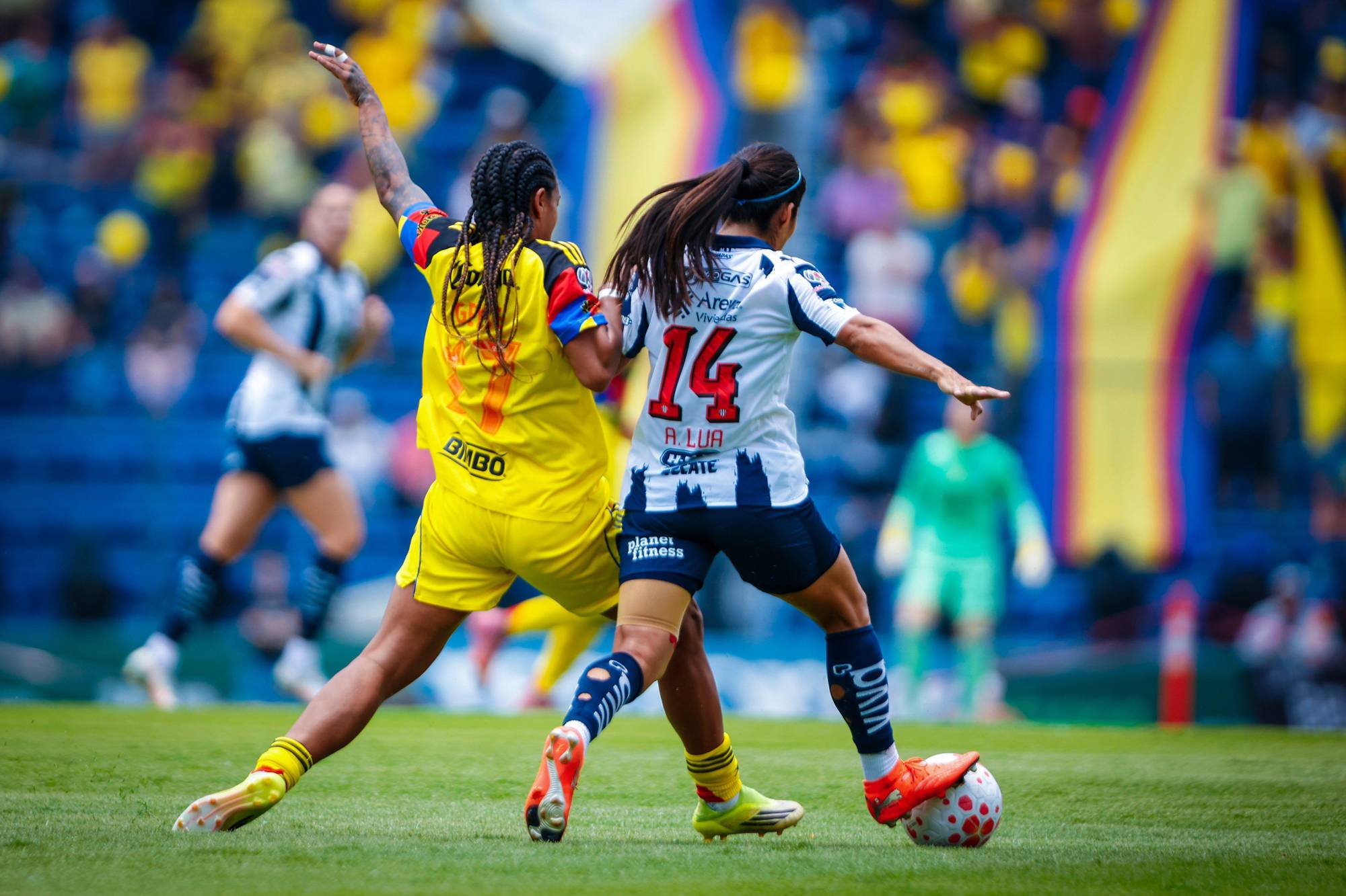 $!América Femenil rompe la maldición y vuelve a ser campeón de la Liga MX