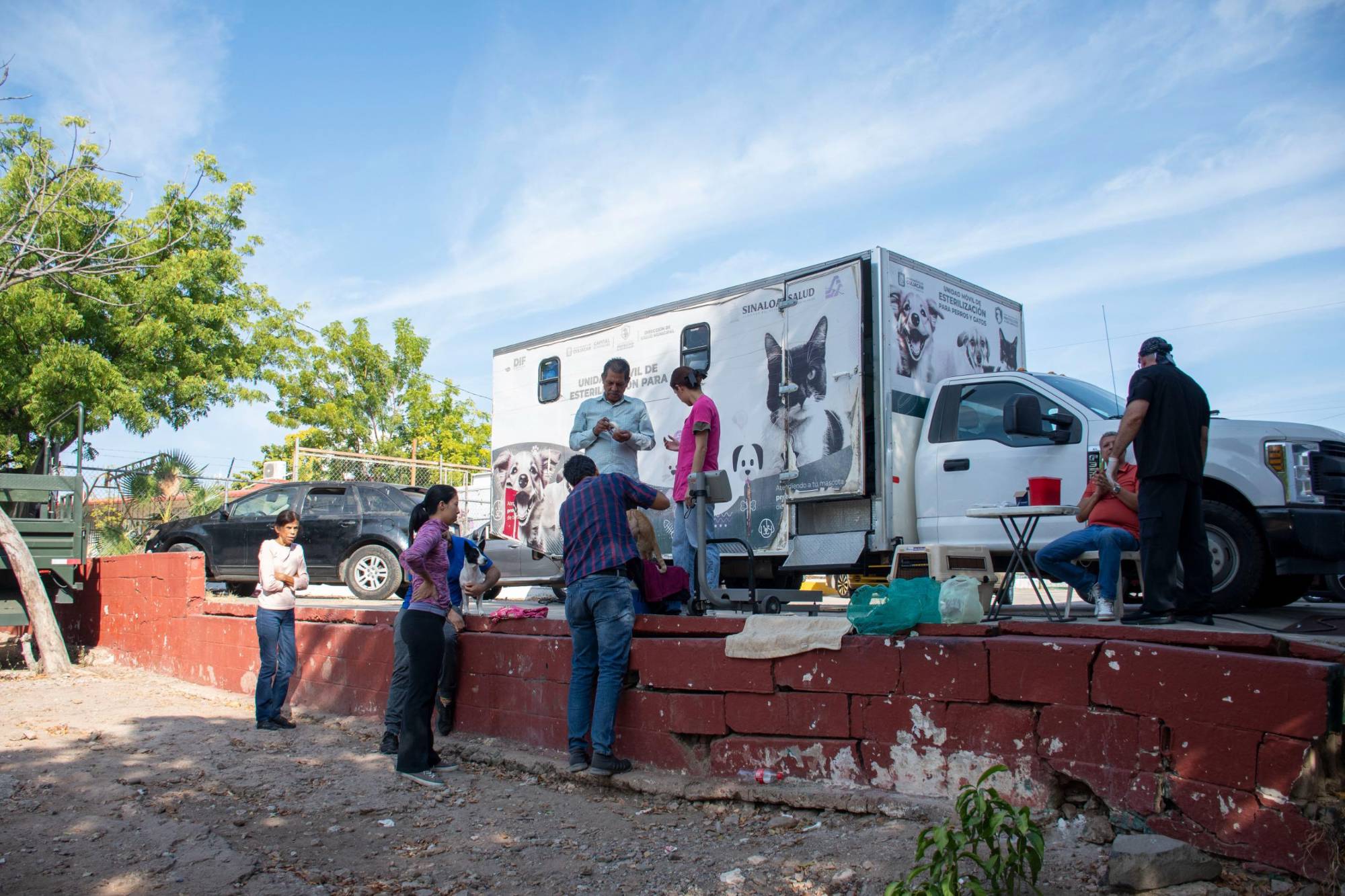 $!Mantiene DIF su campaña de esterilización de perros y gatos en instalaciones de El Vallado