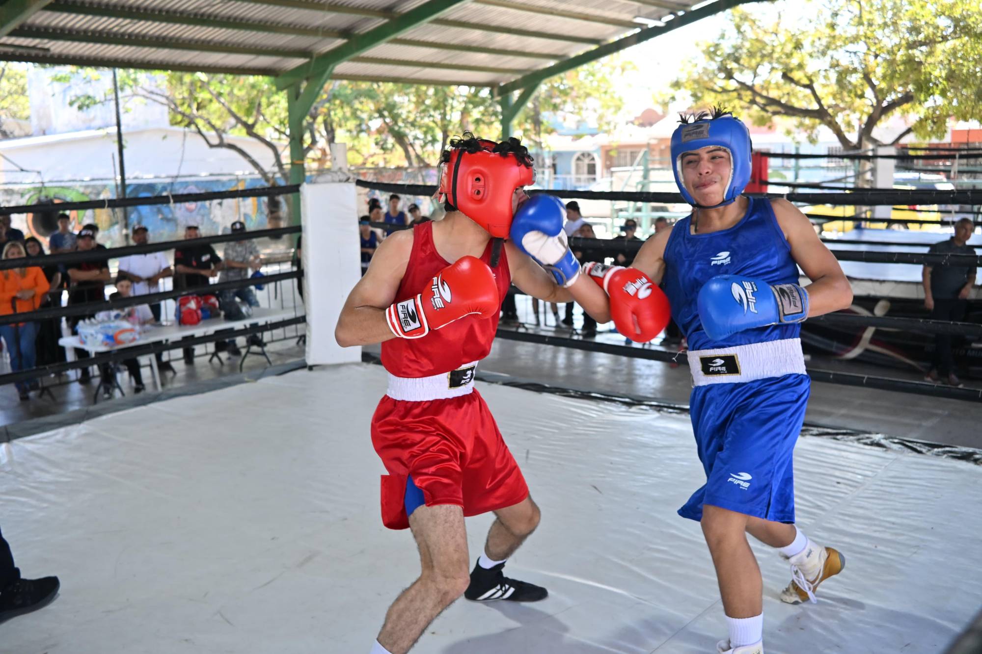 $!Se suman cinco mazatlecos a los boxeadores seleccionados para la etapa estatal de la Olimpiada Nacional Conade 2026