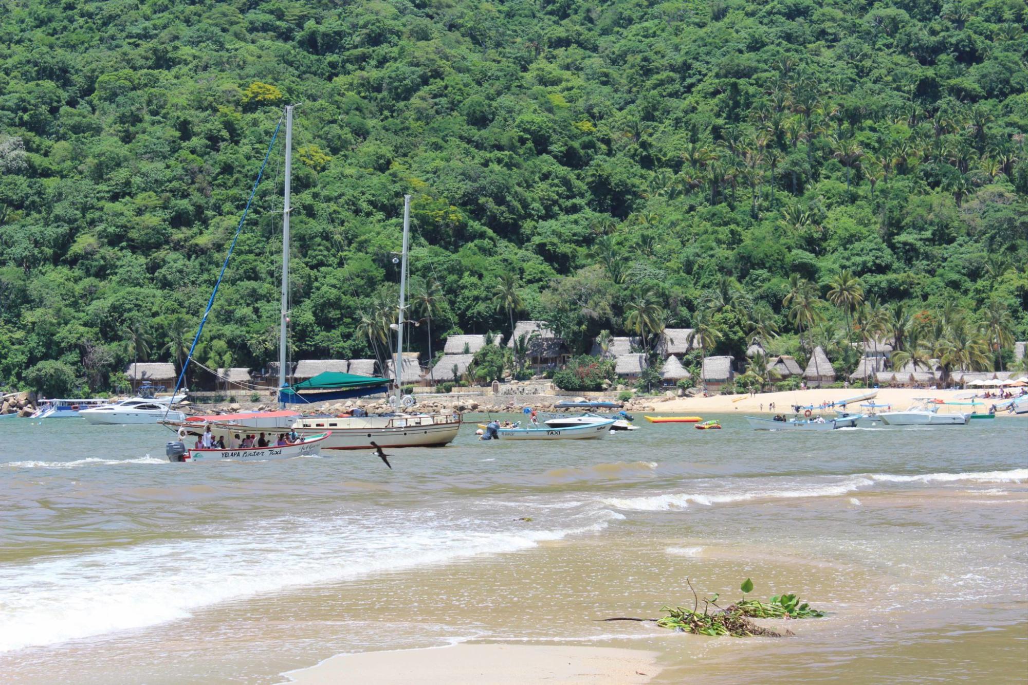 $!México: ciencia y participación social para proteger a las gigantes de Bahía de Banderas