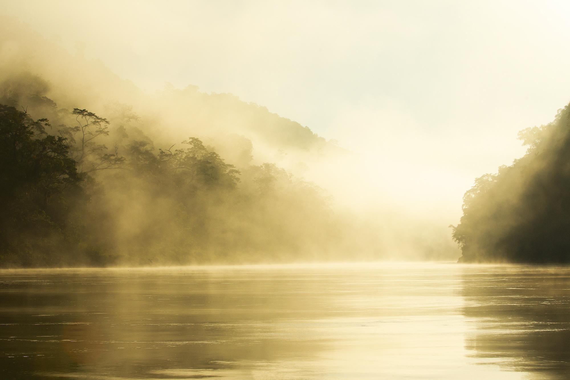 $!Águila harpía: reaparece la majestuosa ave rapaz que se creía extinta en México