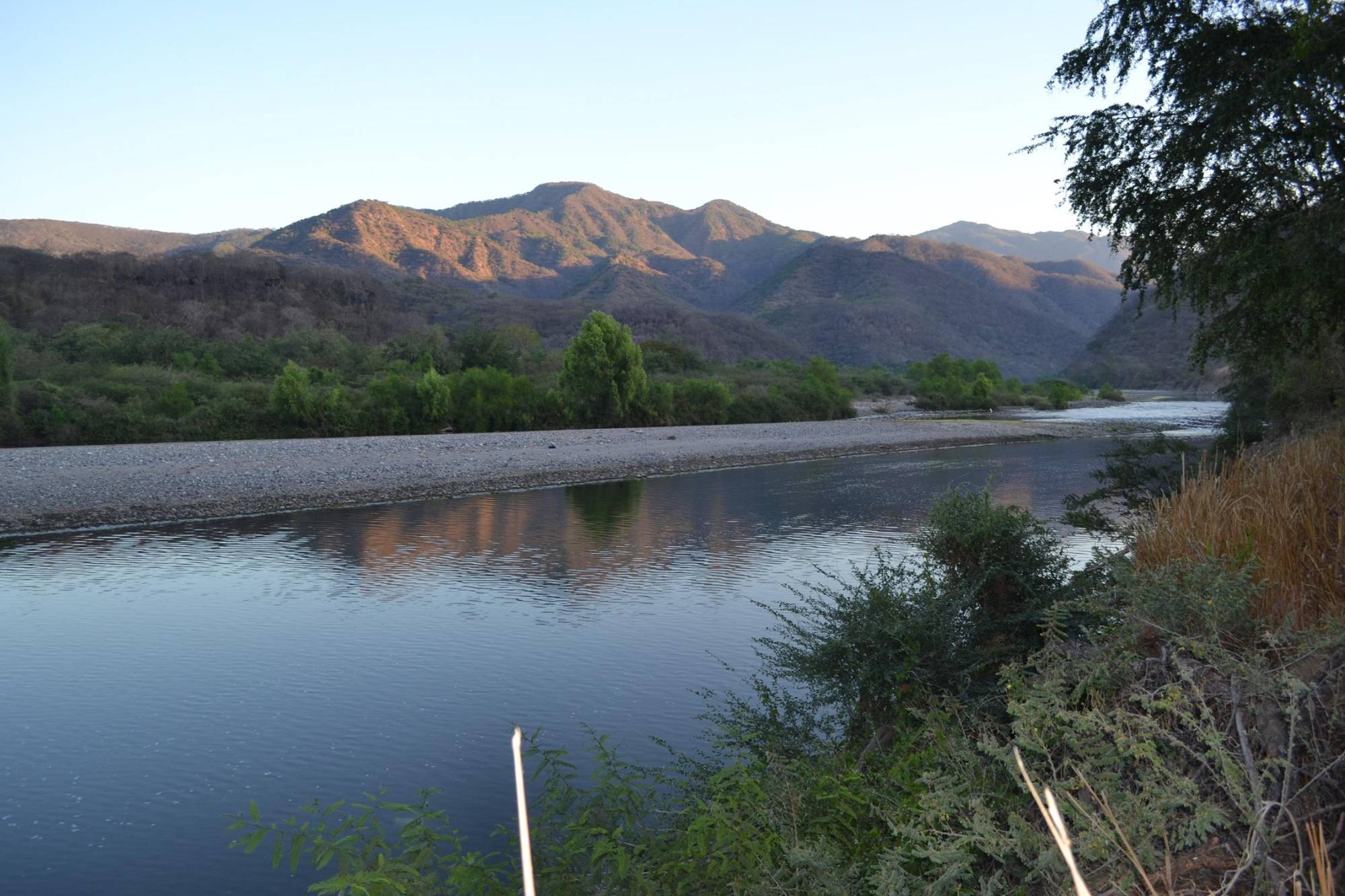 $!La vulnerabilidad de los peces de agua dulce al cambio climático podría ser más pronunciada que la de los animales terrestres.