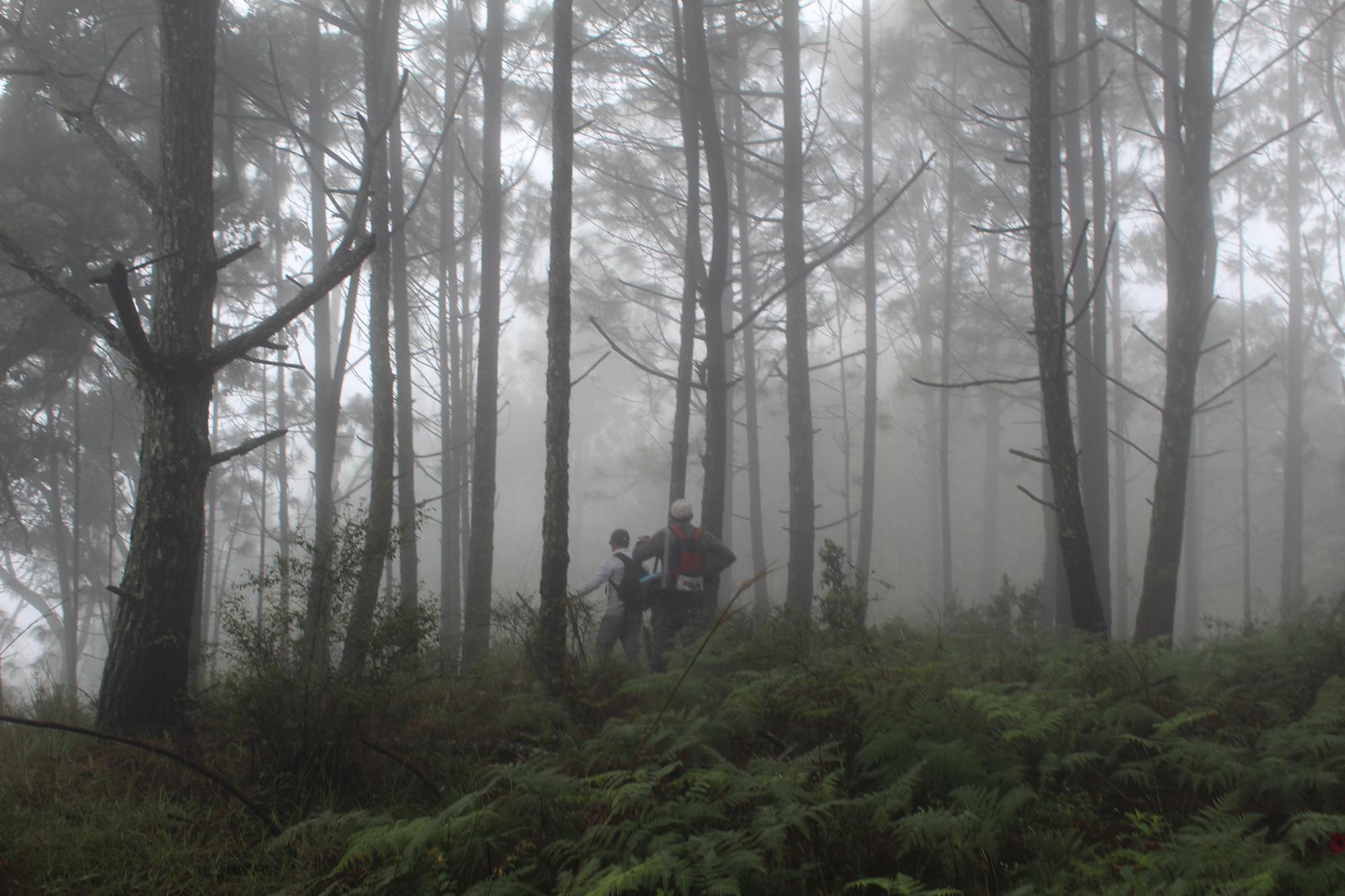 $!Equipo técnico recorriendo el bosque de pino-encino, correspondiente a una parte del paisaje donde se realizó el monitoreo y registro al conejo de Omiltemi.