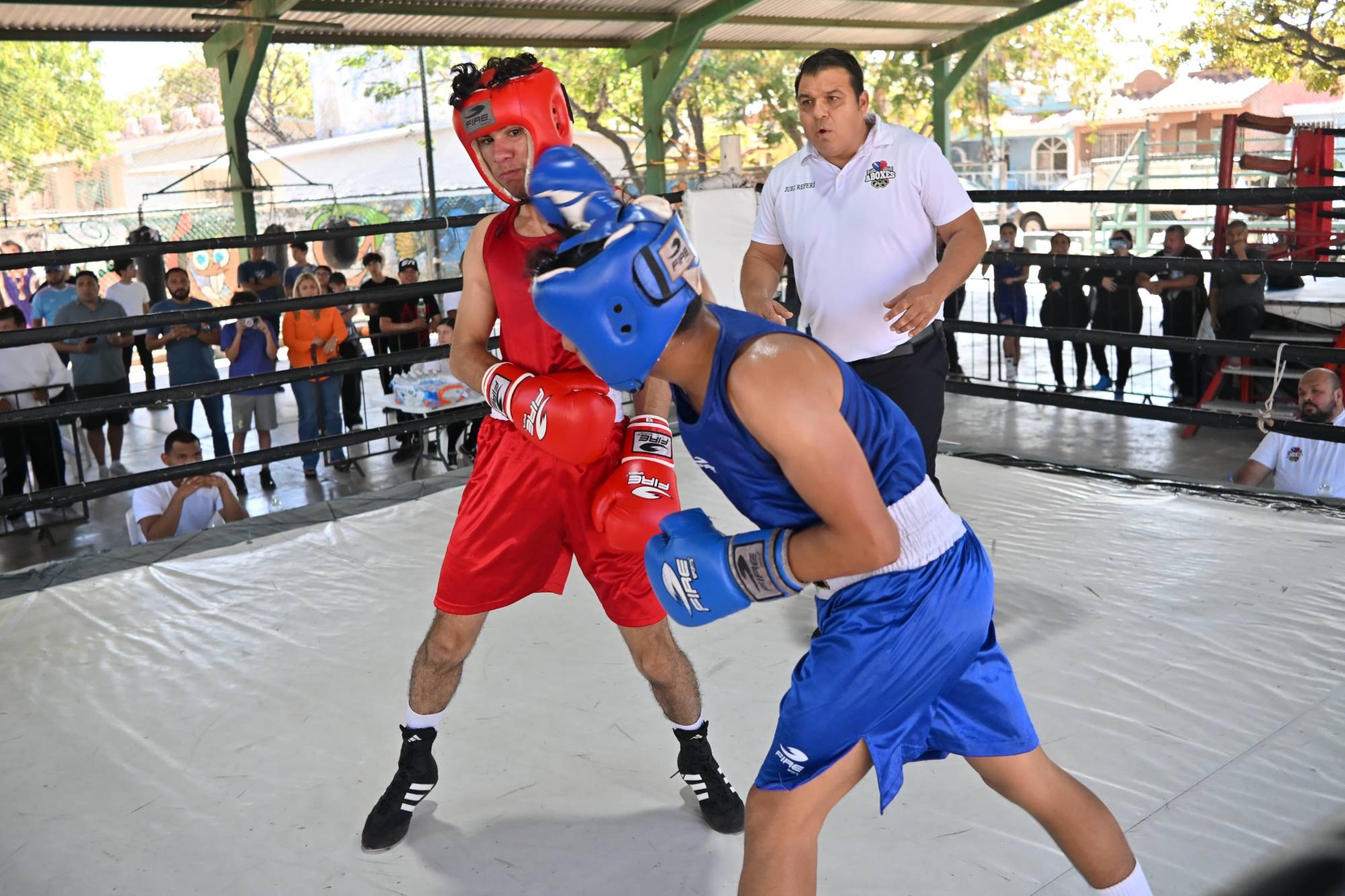 $!Se suman cinco mazatlecos a los boxeadores seleccionados para la etapa estatal de la Olimpiada Nacional Conade 2026